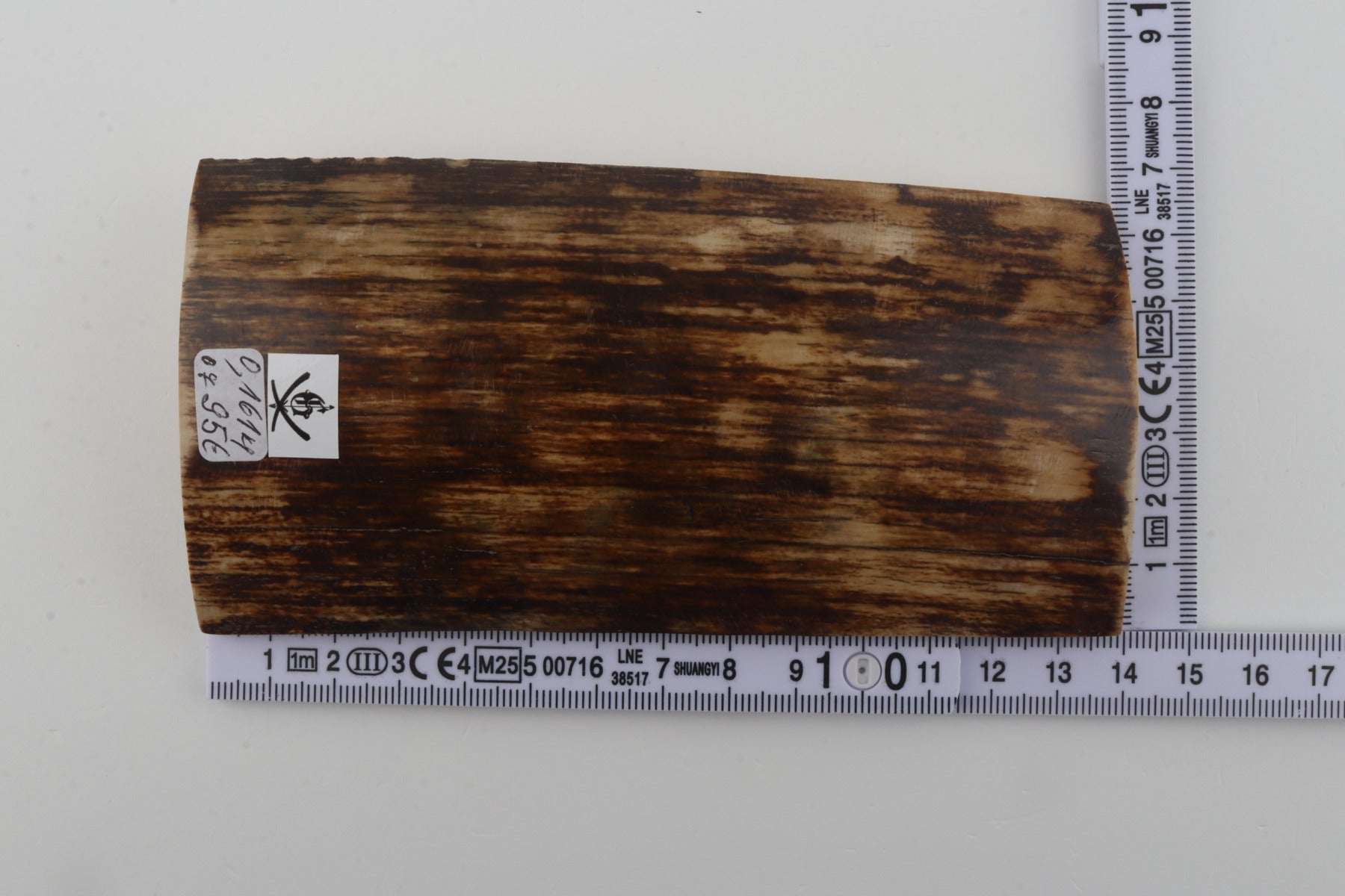 Brown mammoth bark