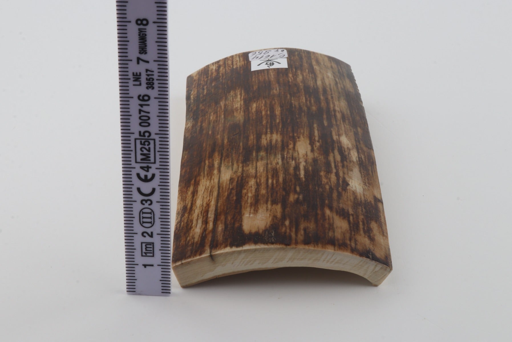 Brown mammoth bark