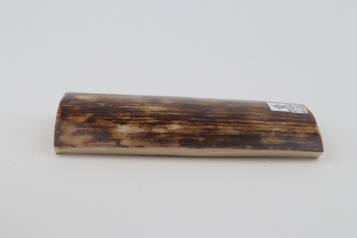 Brown mammoth bark