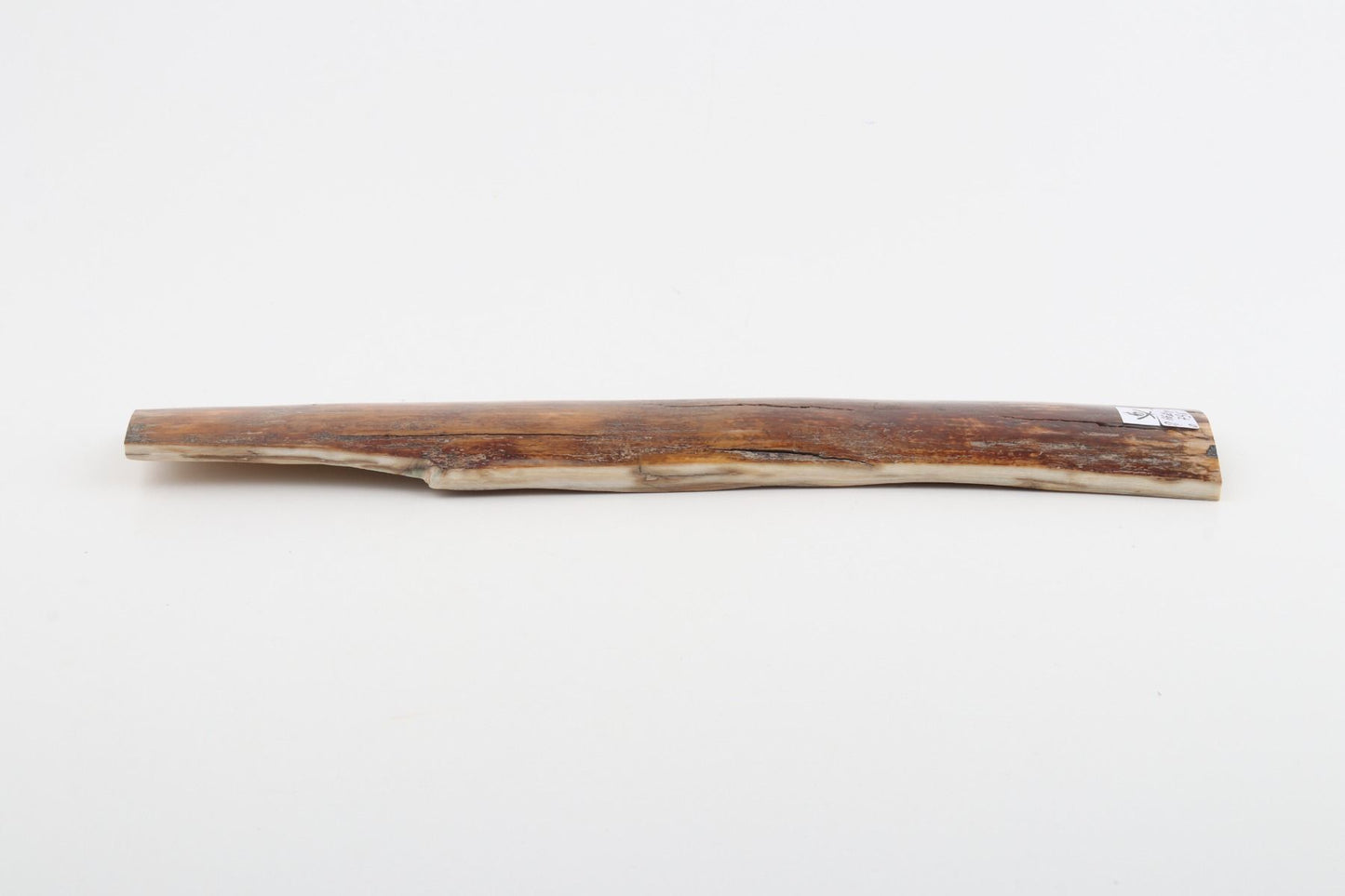 Caramel-brown mammoth bark