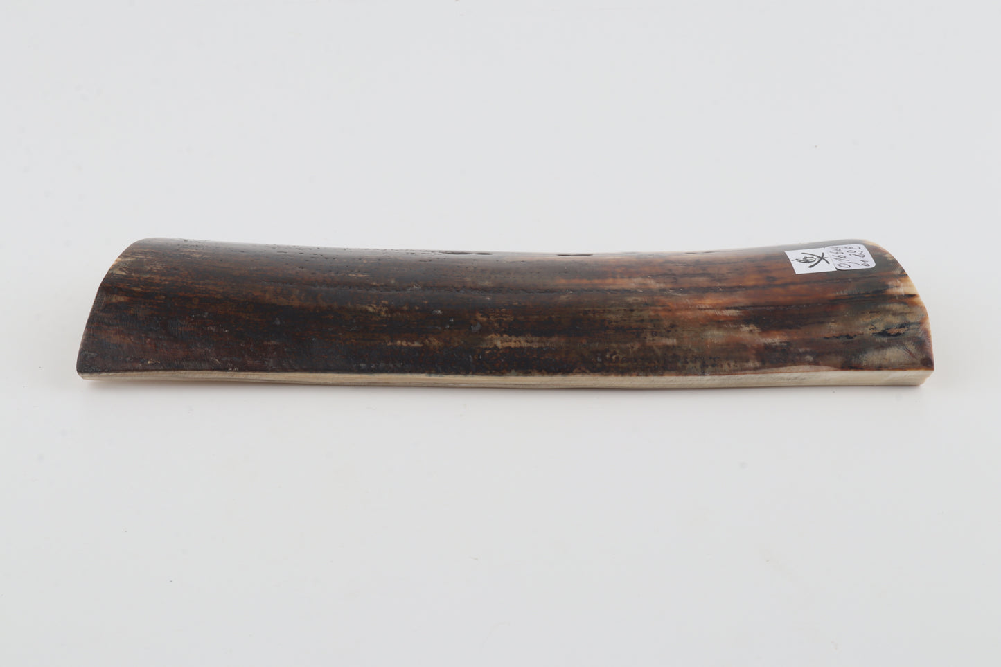 Brown mammoth bark