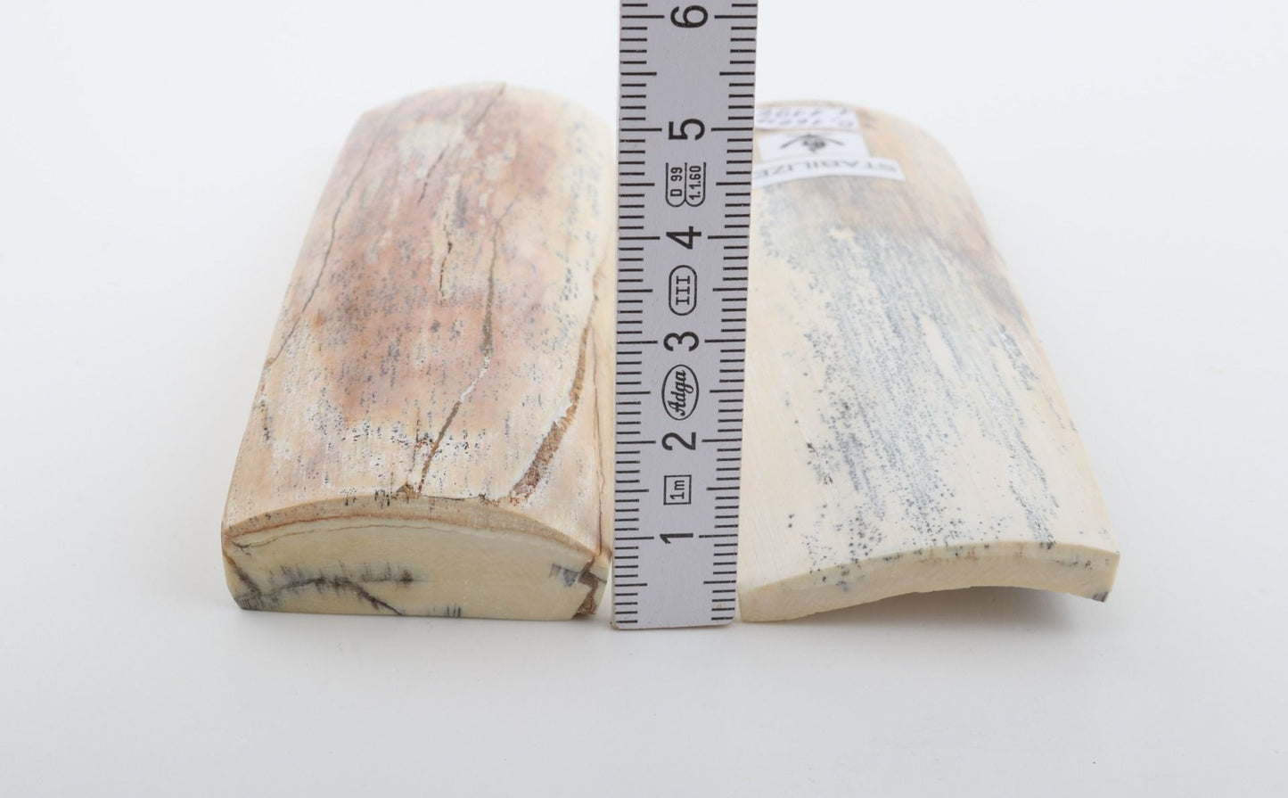 Stabilised mammoth bark scales
