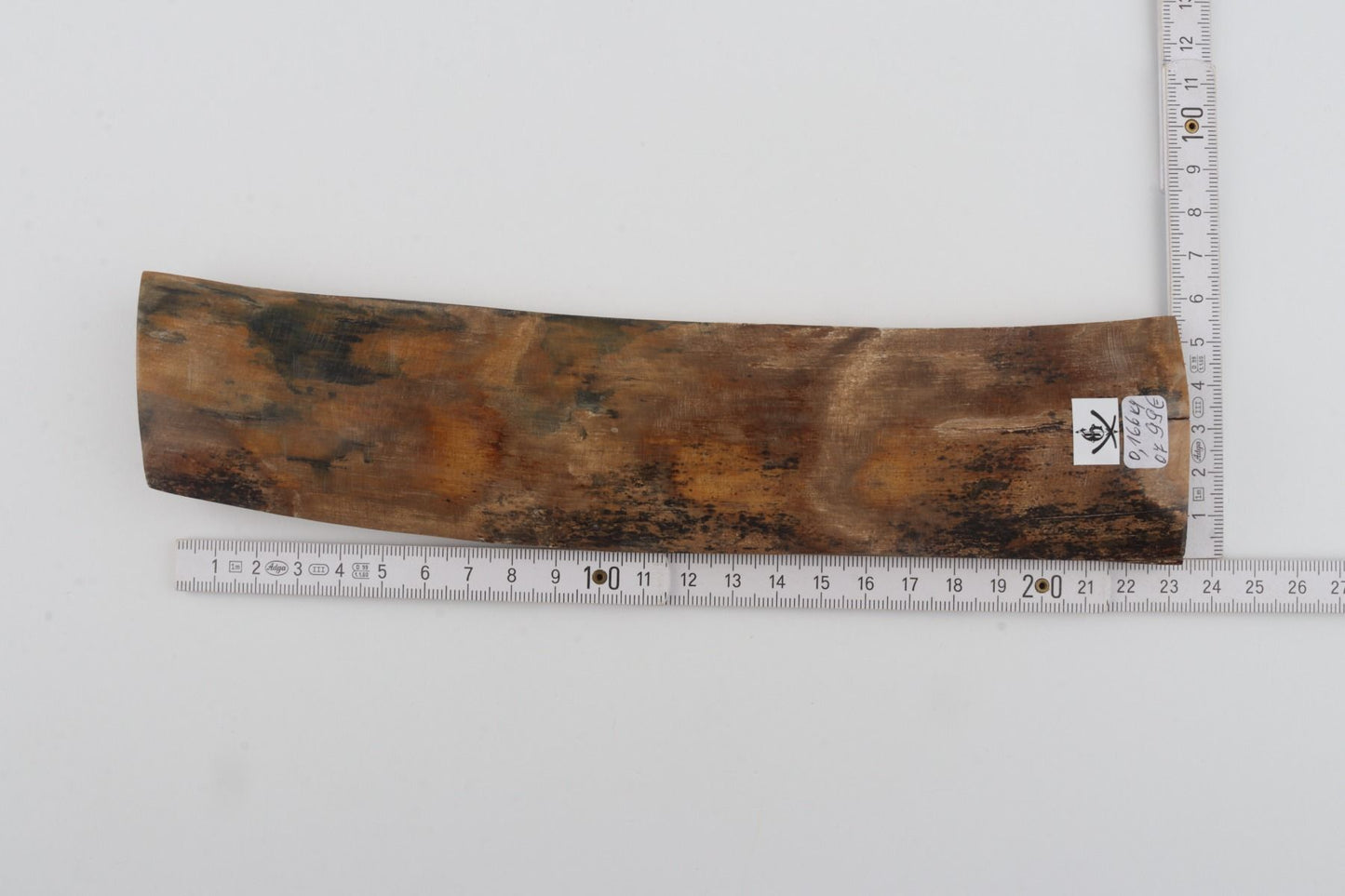 Beige mammoth bark