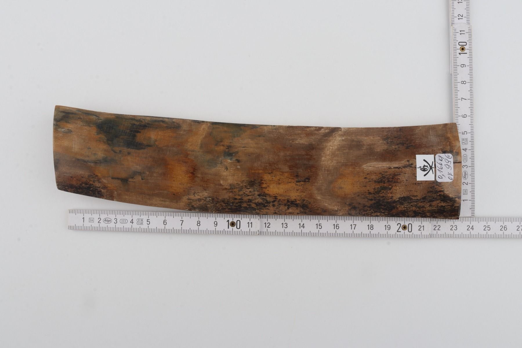 Beige mammoth bark