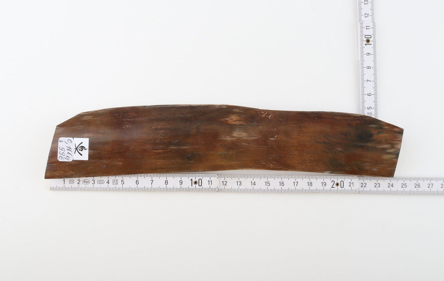 Brown mammoth bark