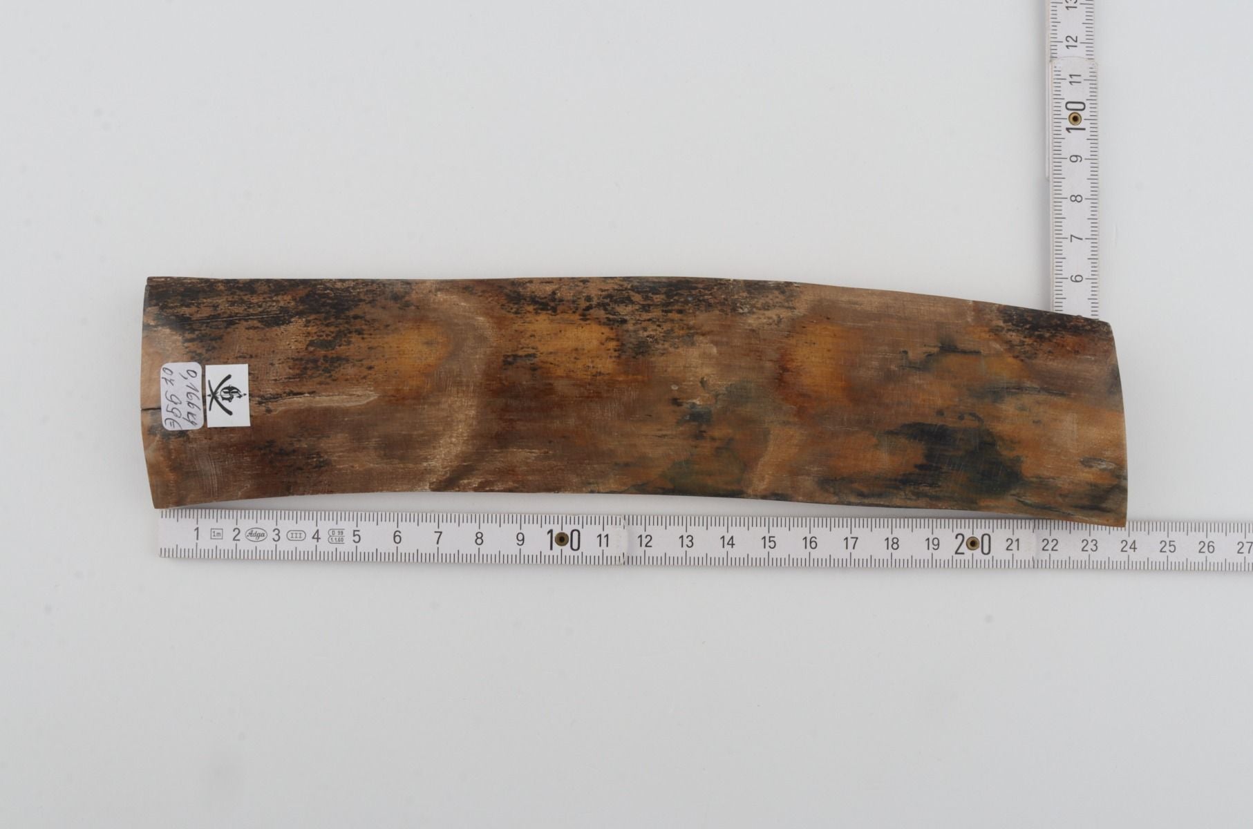 Beige mammoth bark