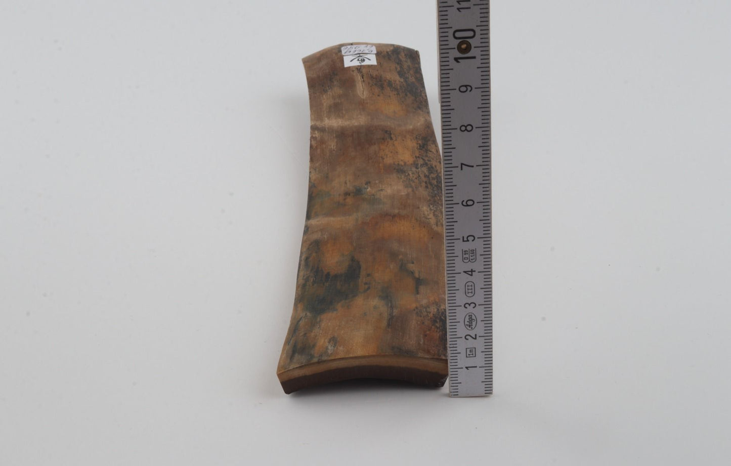 Beige mammoth bark