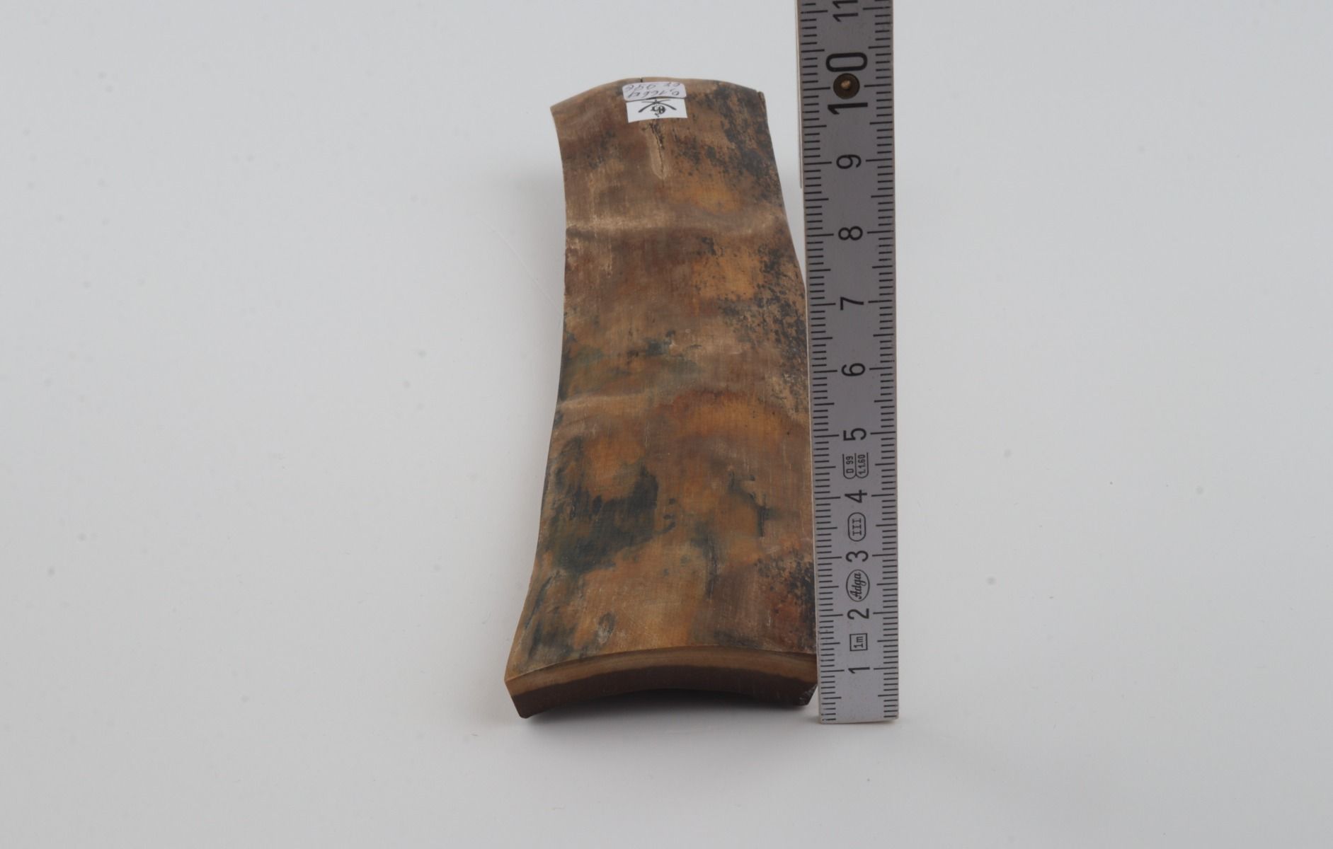 Beige mammoth bark