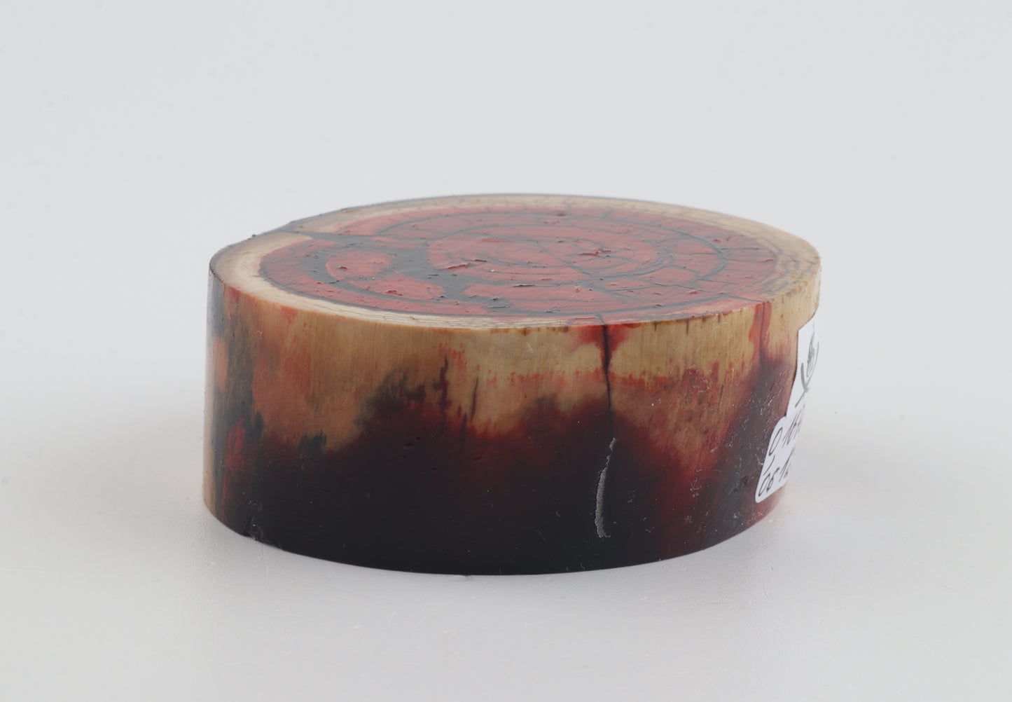 Stabilized mammoth ivory block
