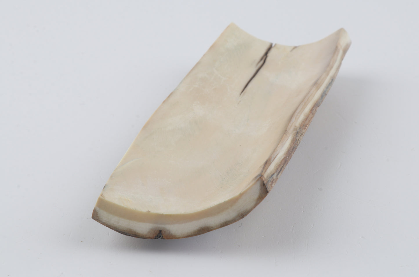 Beige-grey mammoth bark