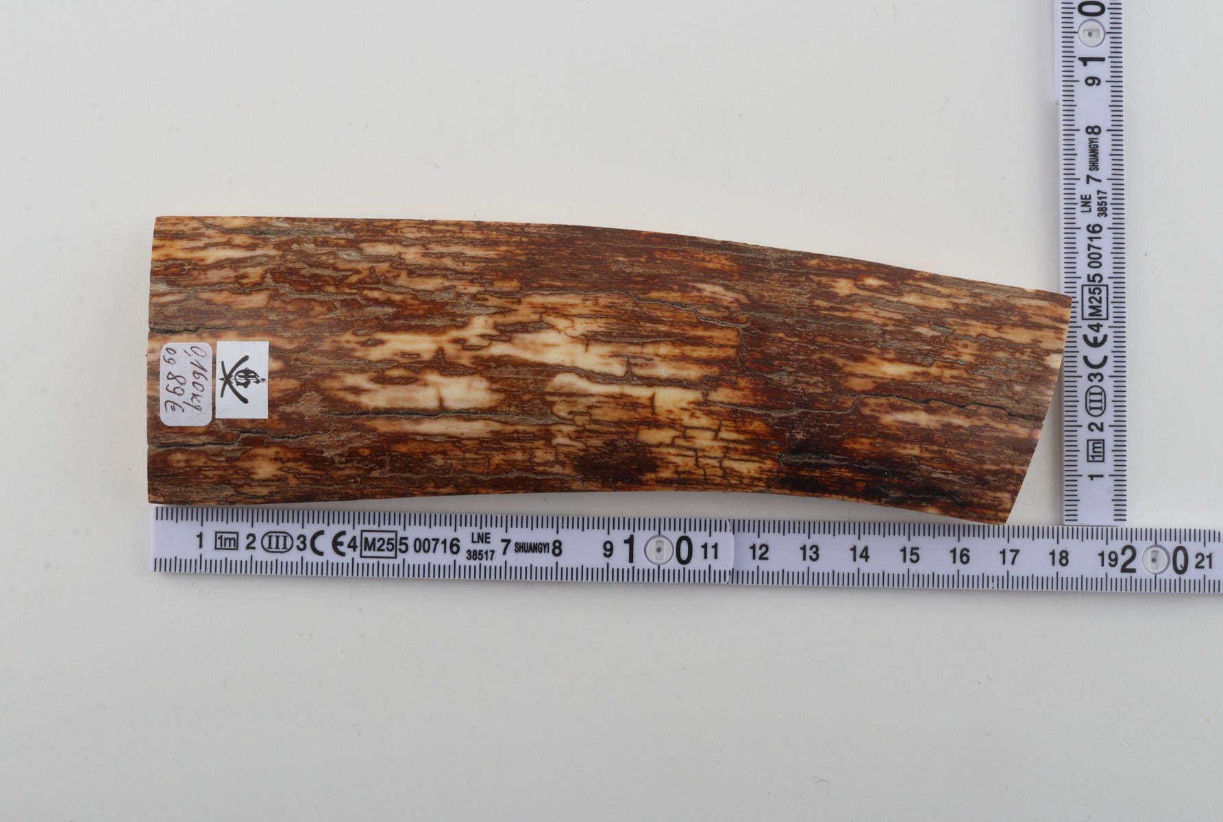 Orange-brown mammoth bark