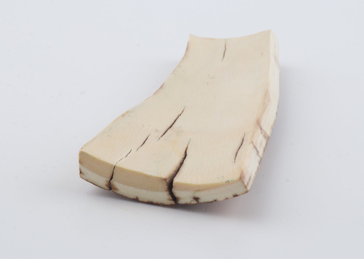 Orange-brown mammoth bark