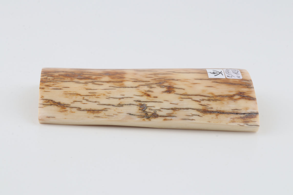 Cream-brown mammoth bark