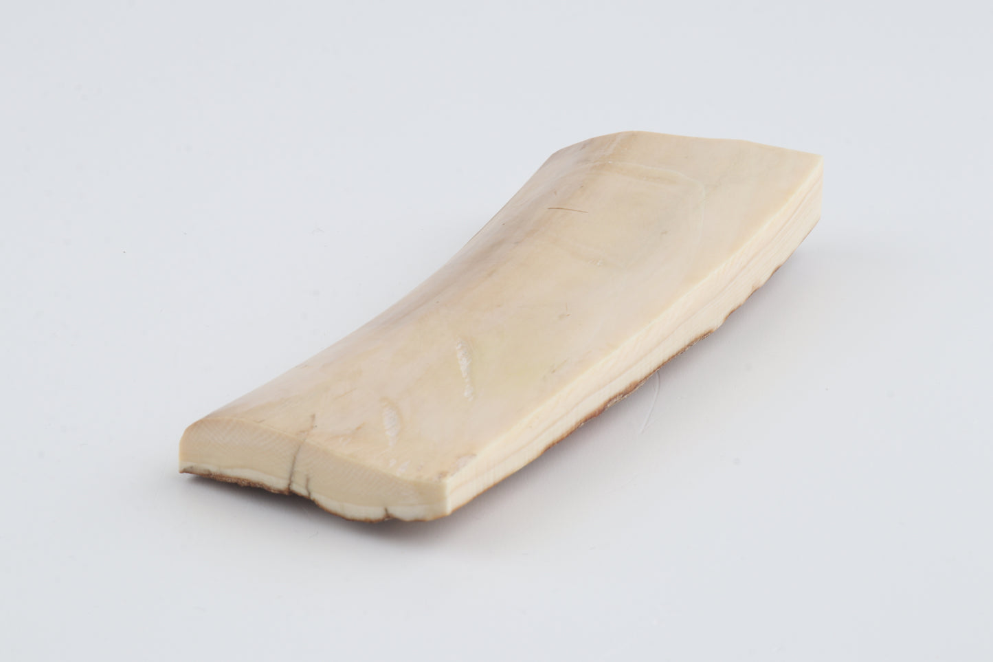 Beige-creme mammoth bark