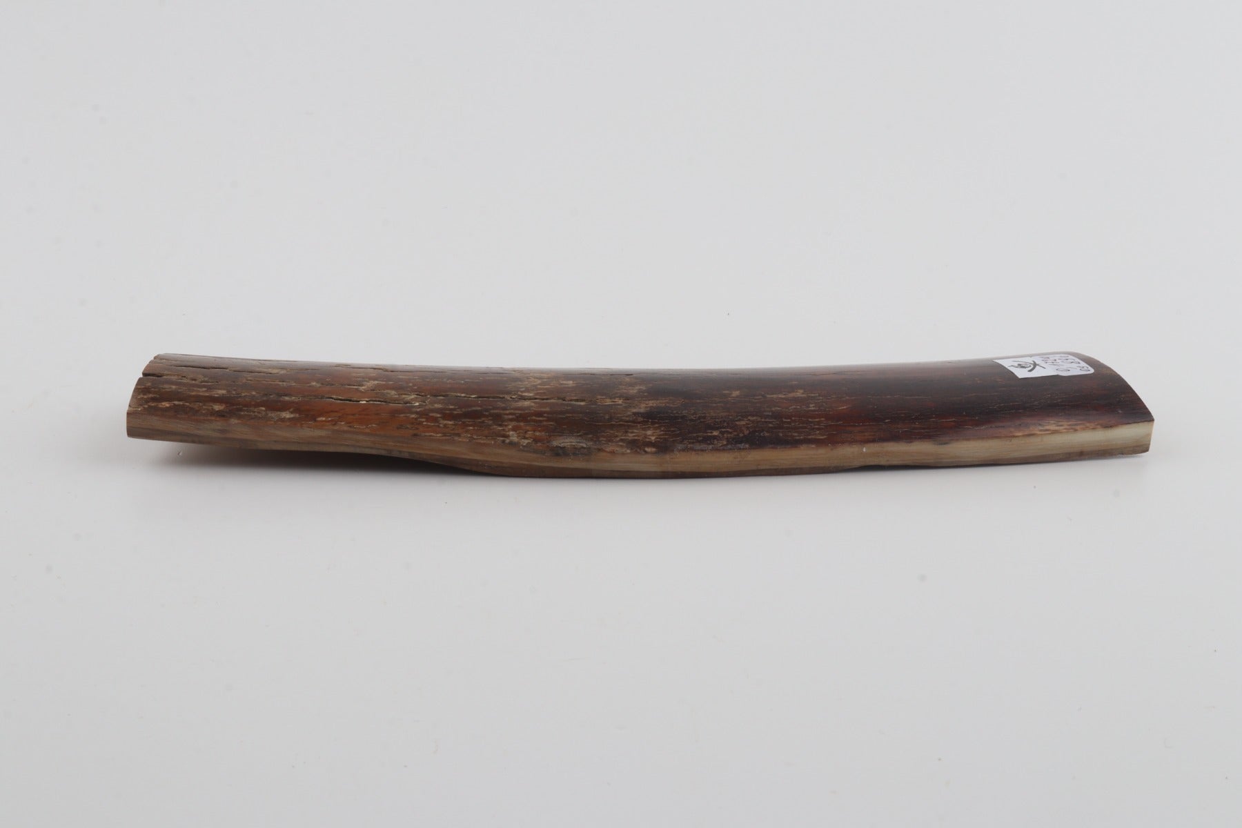 Brown mammoth bark
