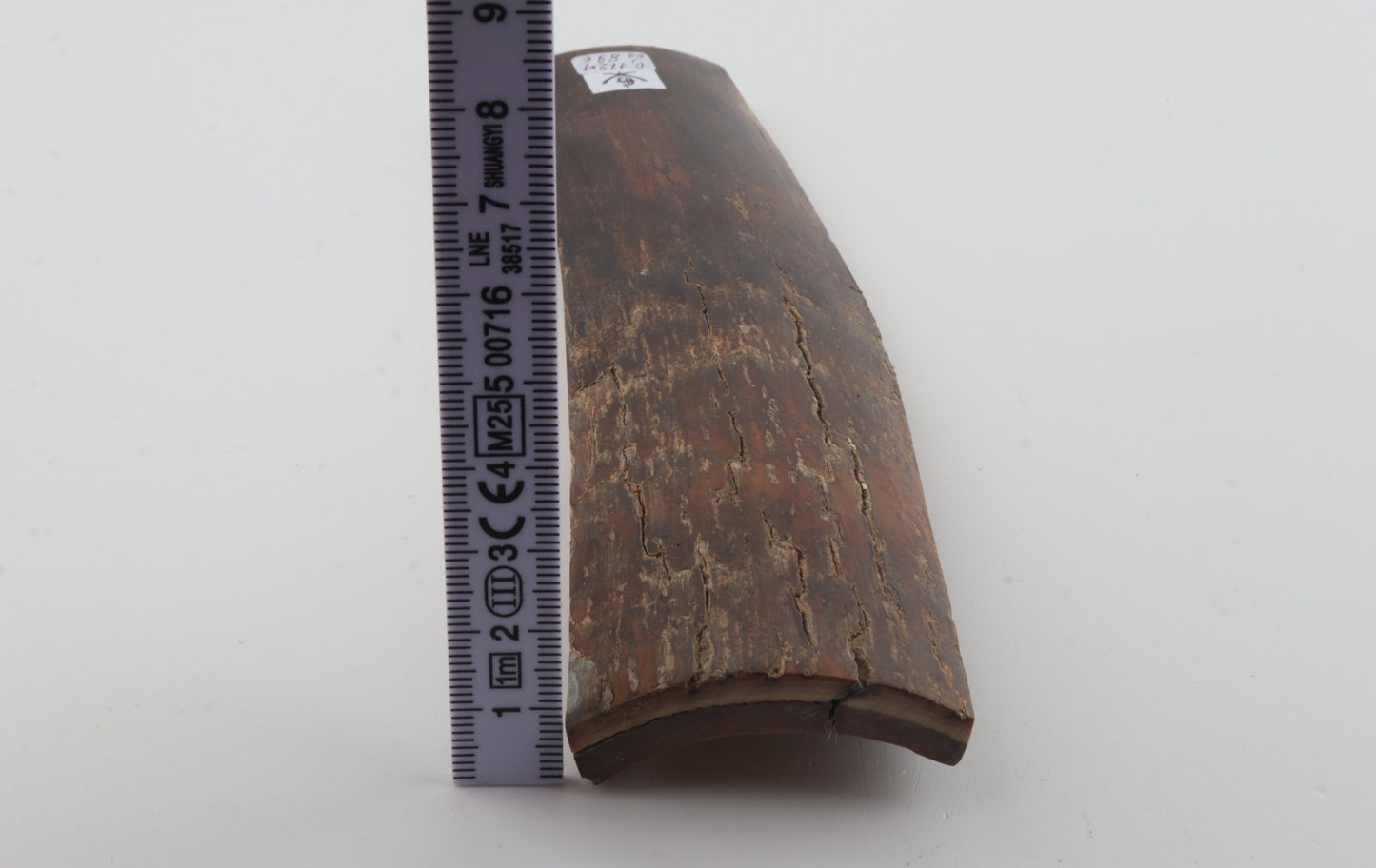 Brown mammoth bark