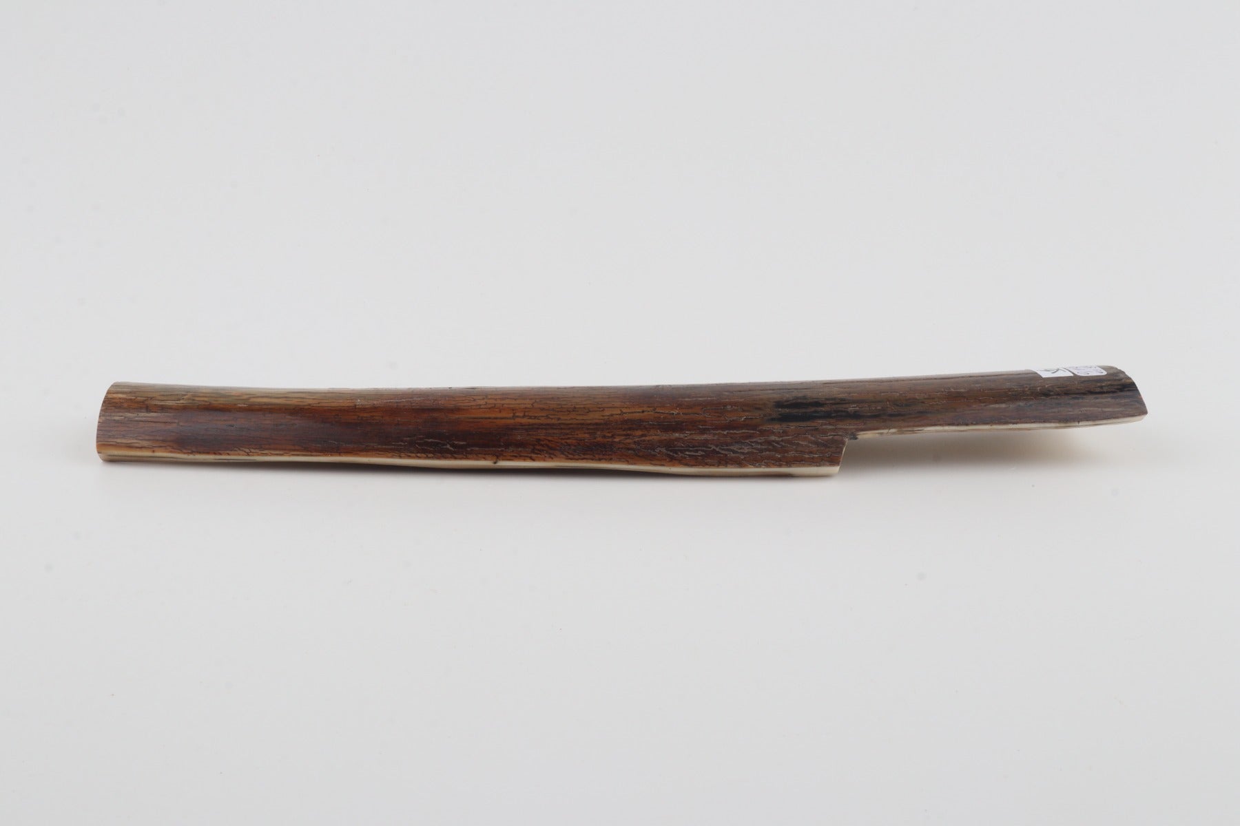 Brown mammoth bark