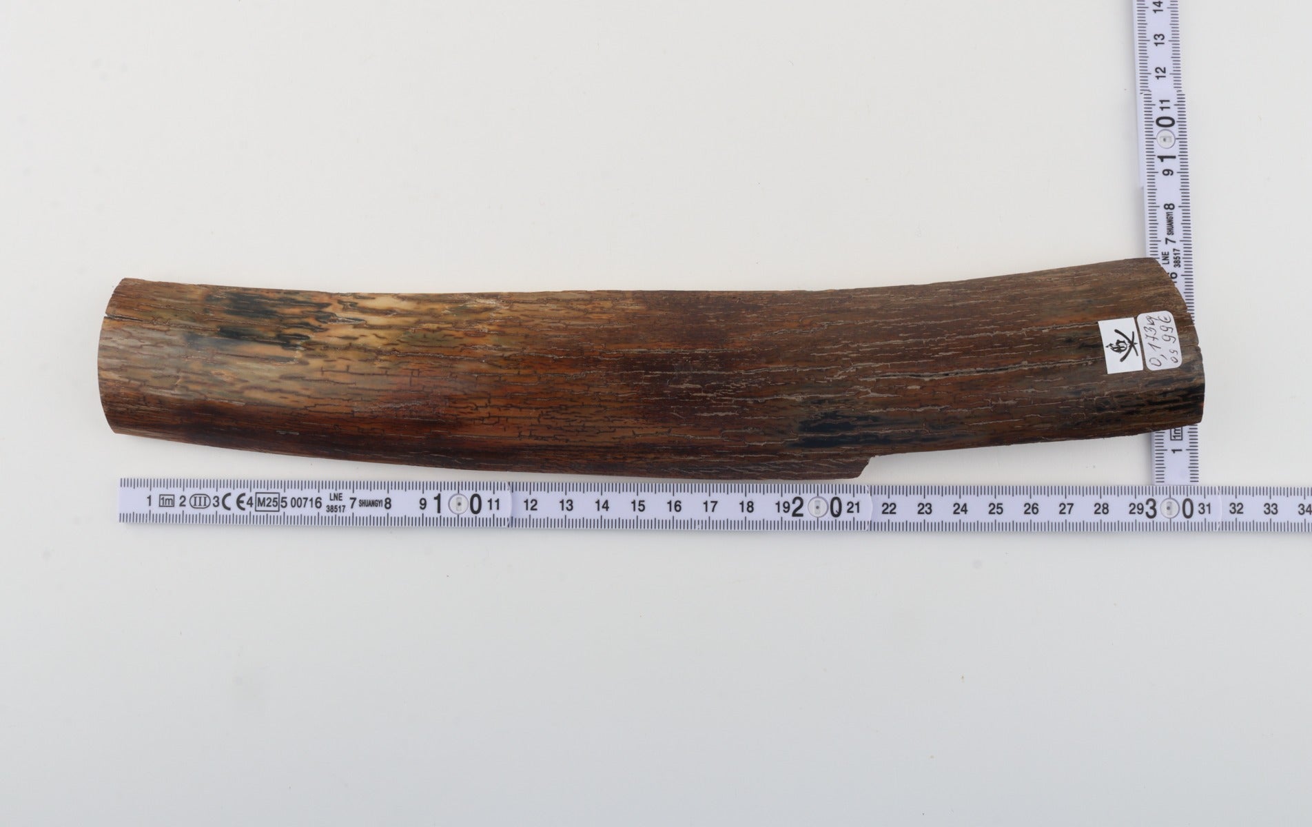 Brown mammoth bark