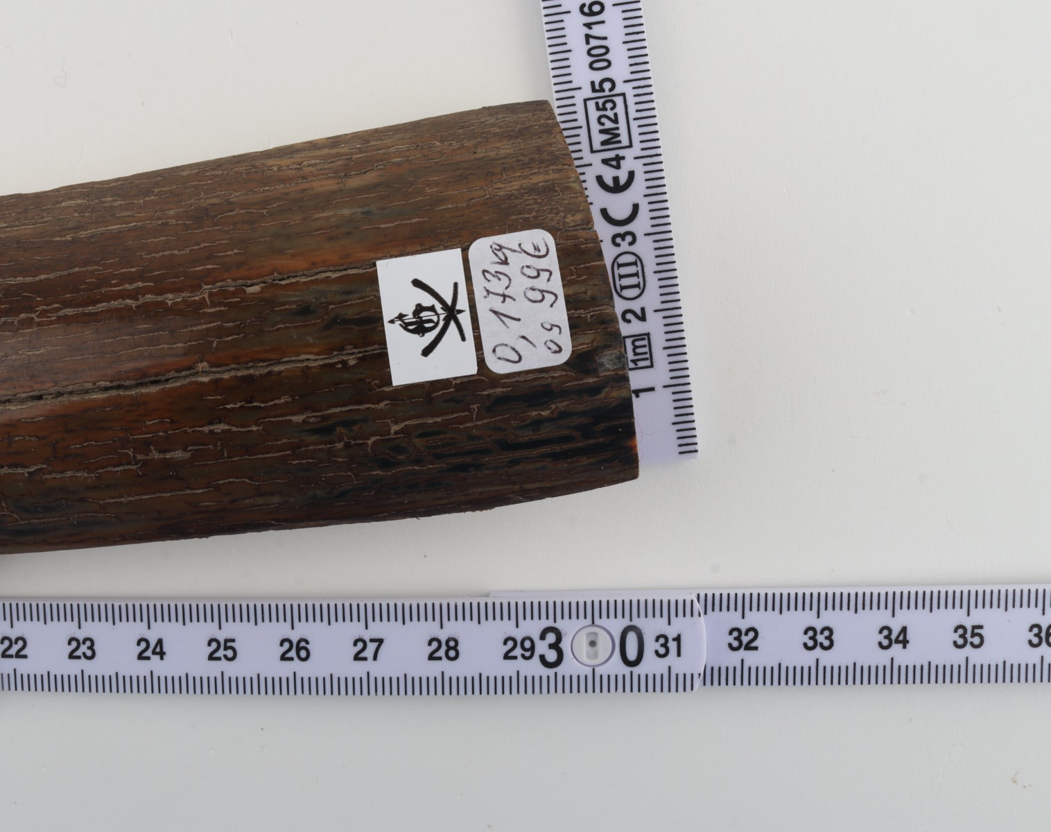 Brown mammoth bark
