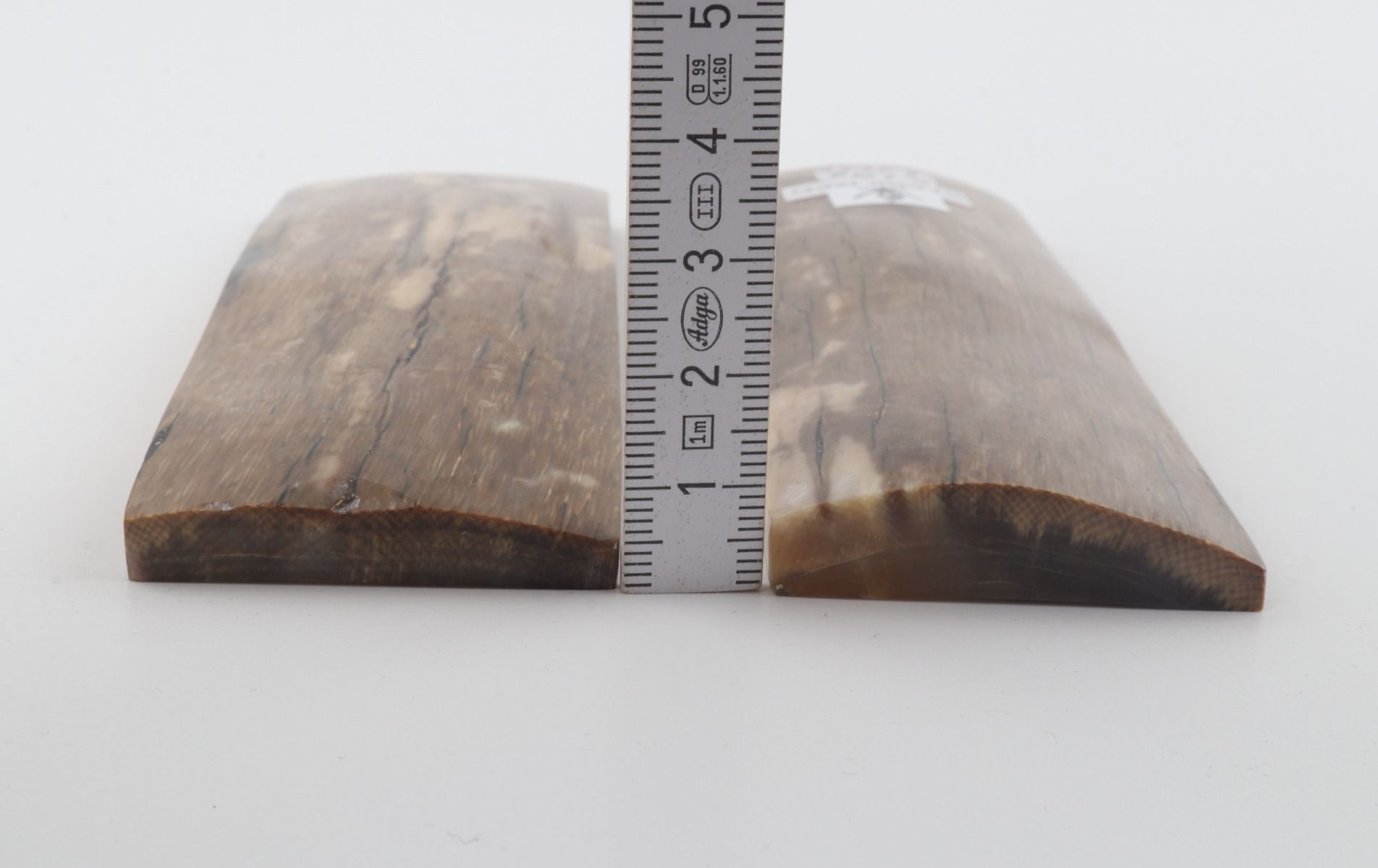 Stabilised mammoth bark scales