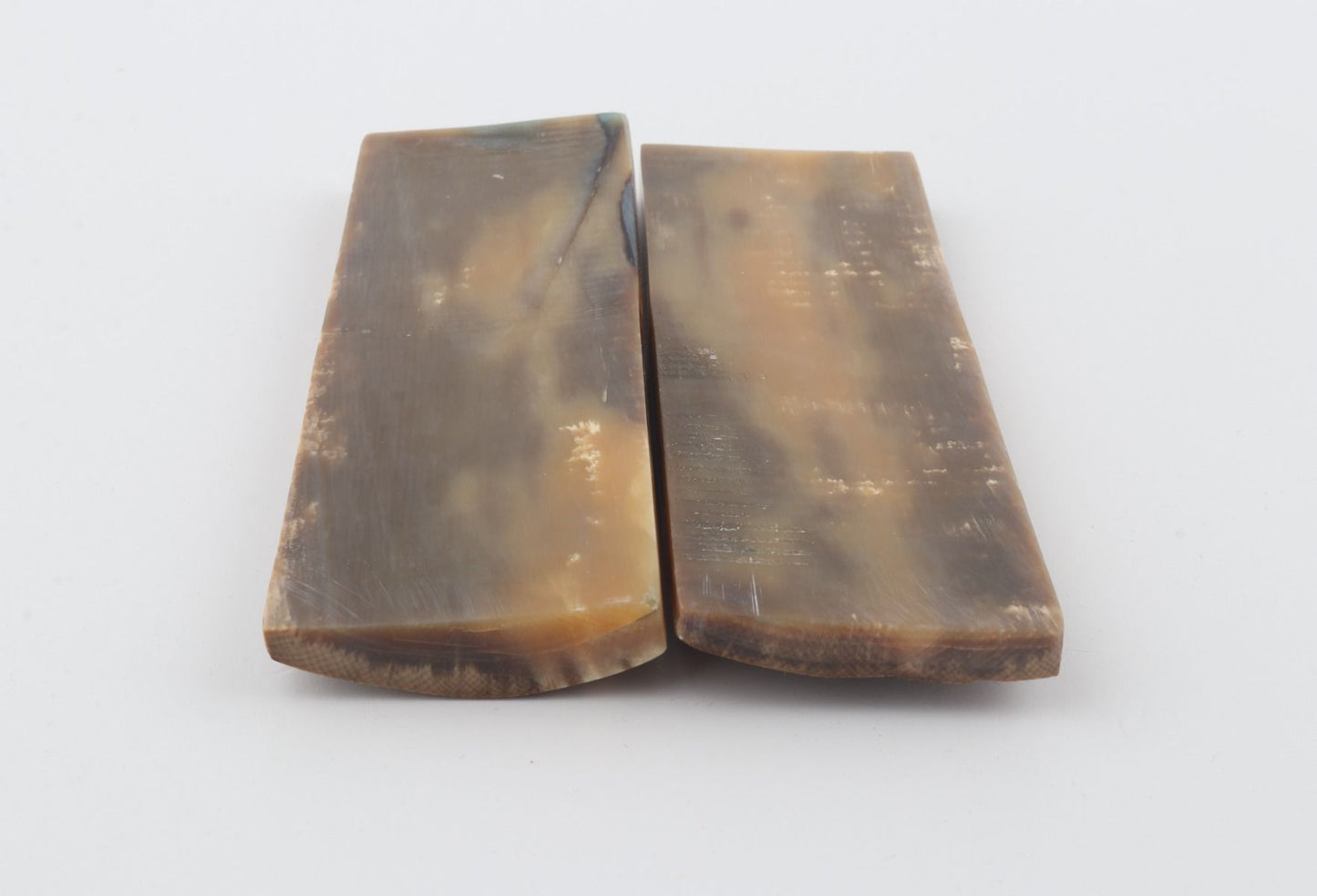 Stabilised mammoth bark scales