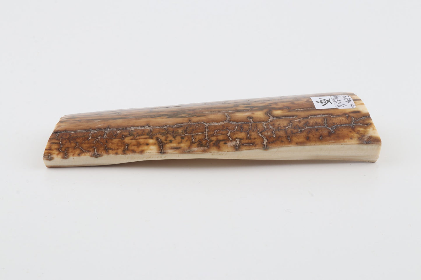Mustard mammoth bark