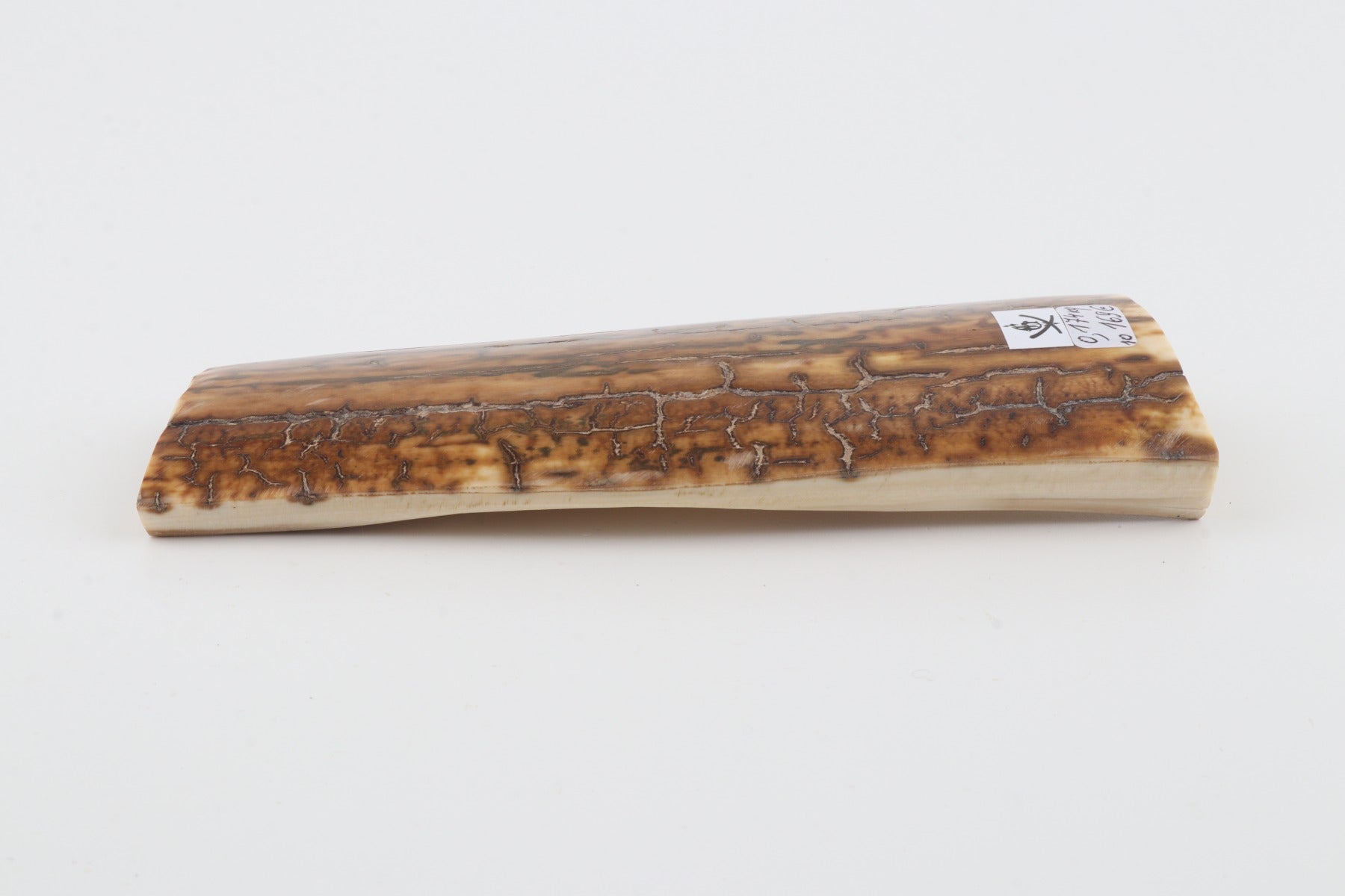 Mustard mammoth bark