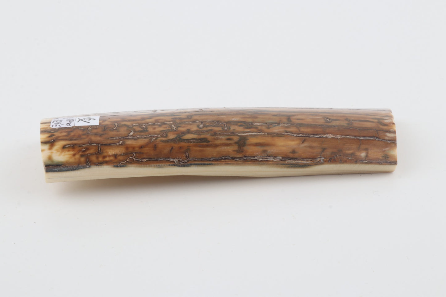 Mustard mammoth bark