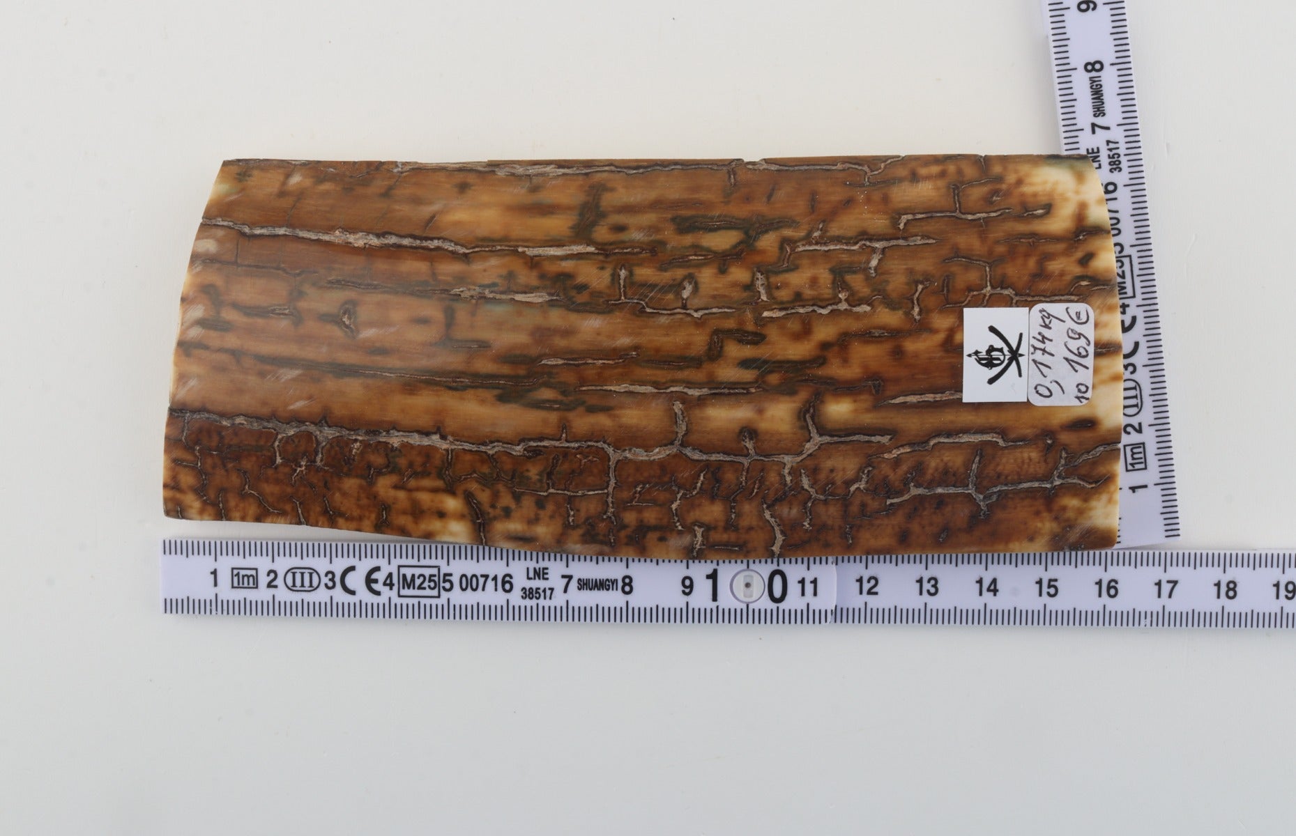 Mustard mammoth bark