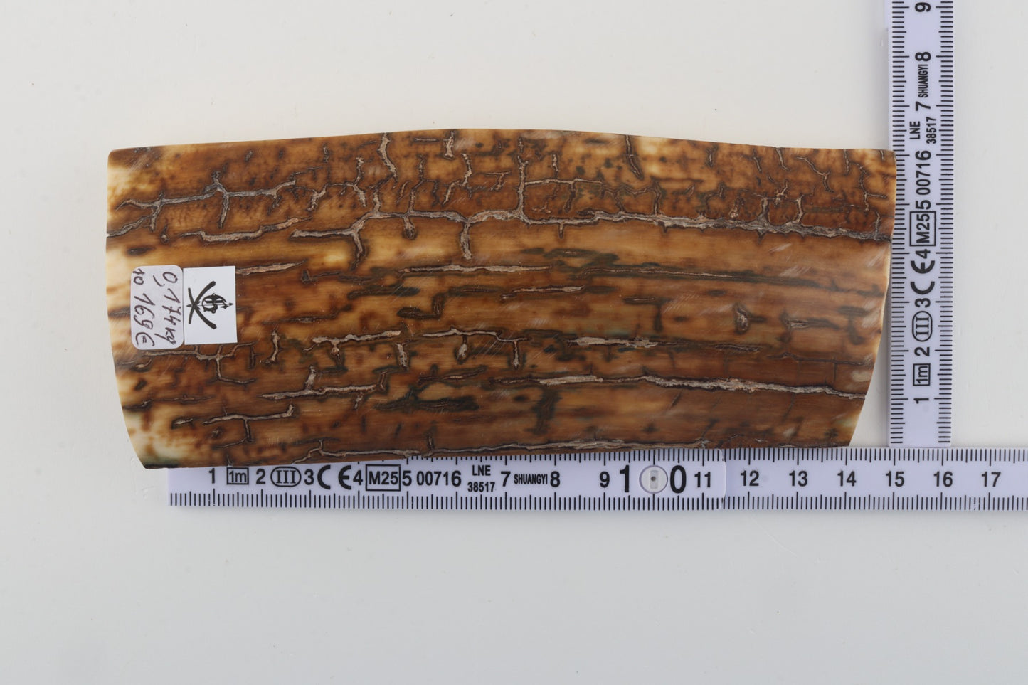 Mustard mammoth bark