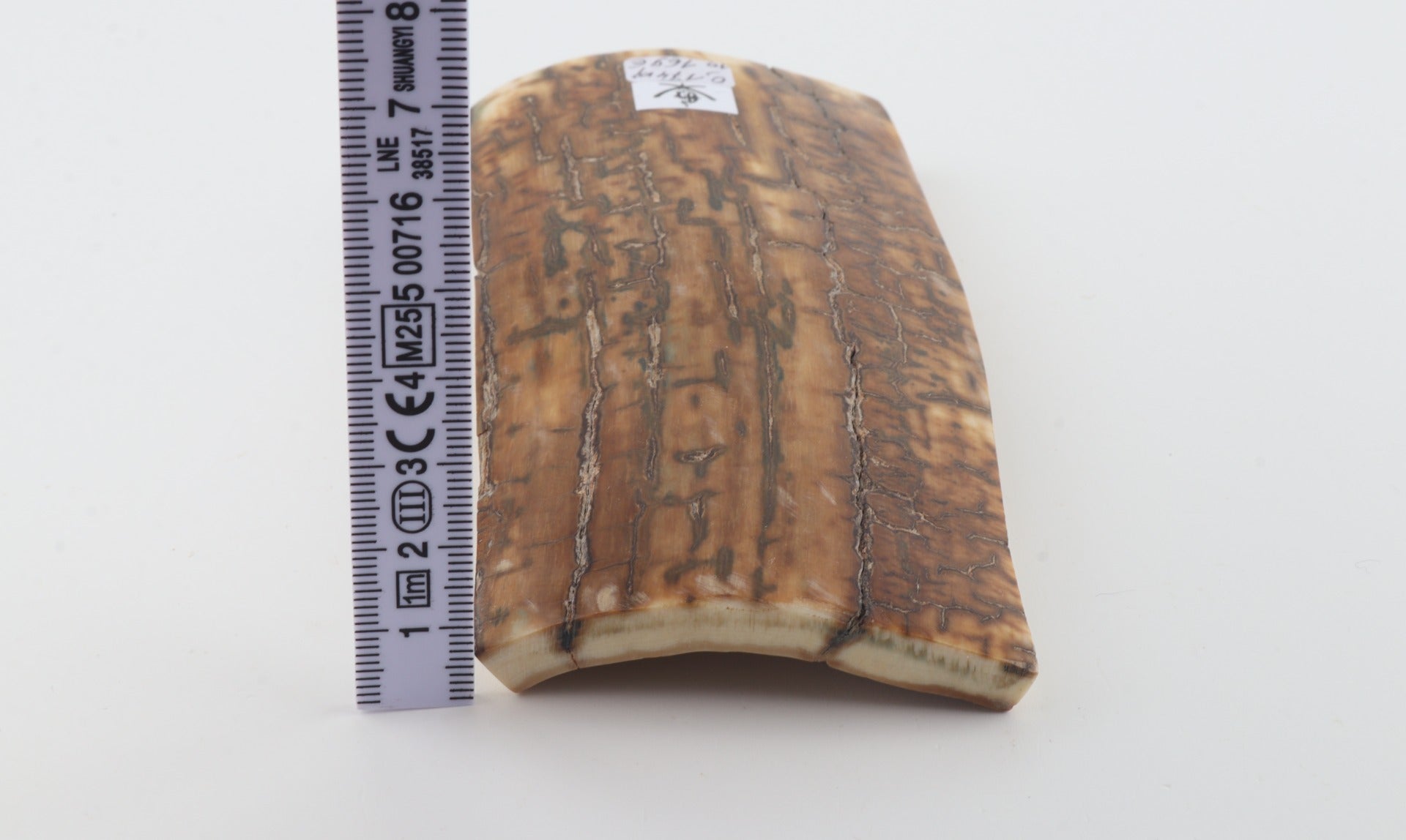 Mustard mammoth bark