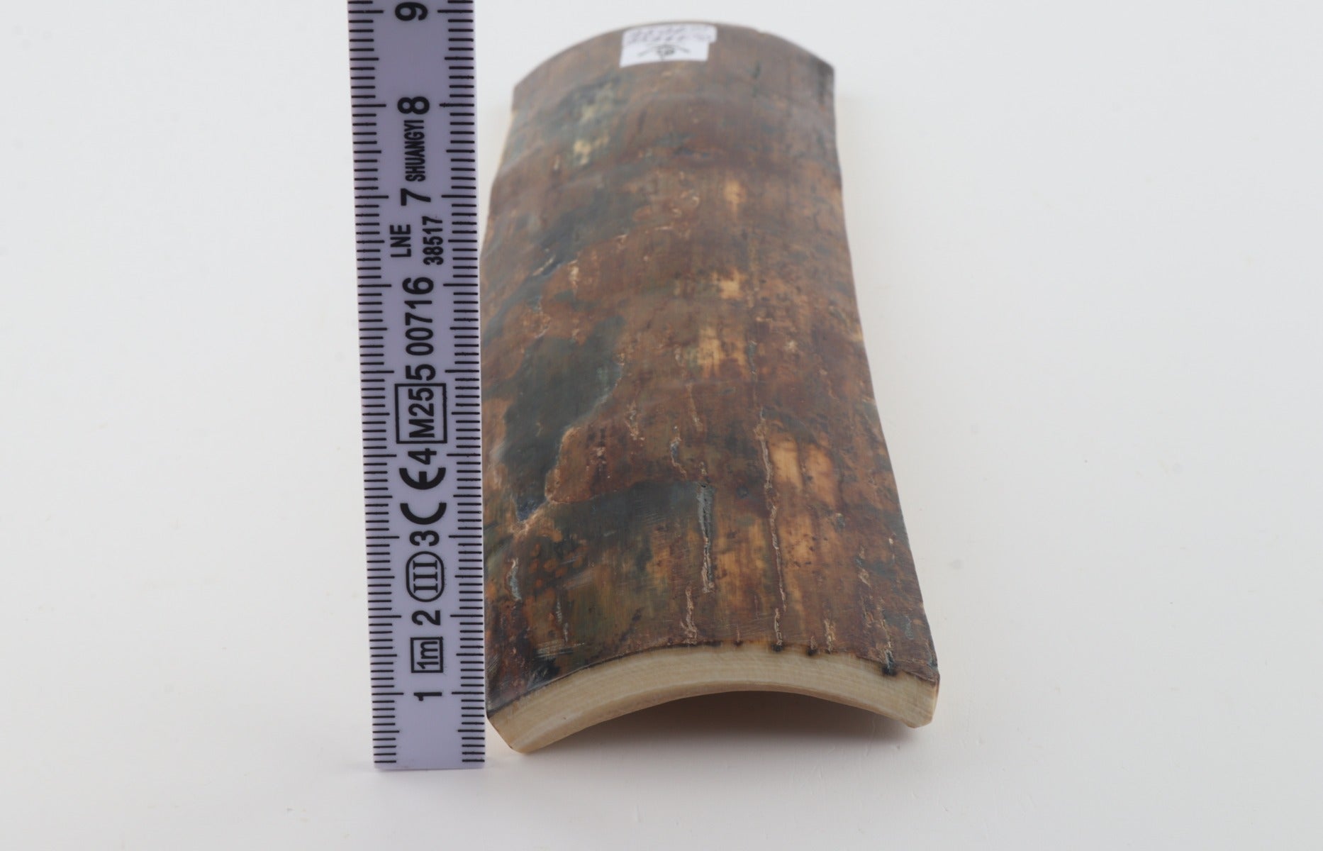 Natural woolly mammoth bark