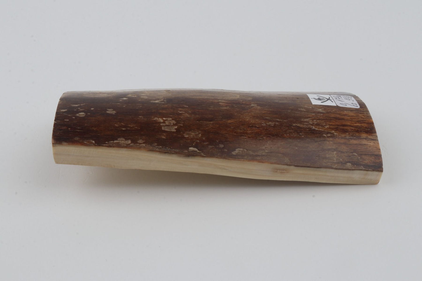 Brown mammoth bark