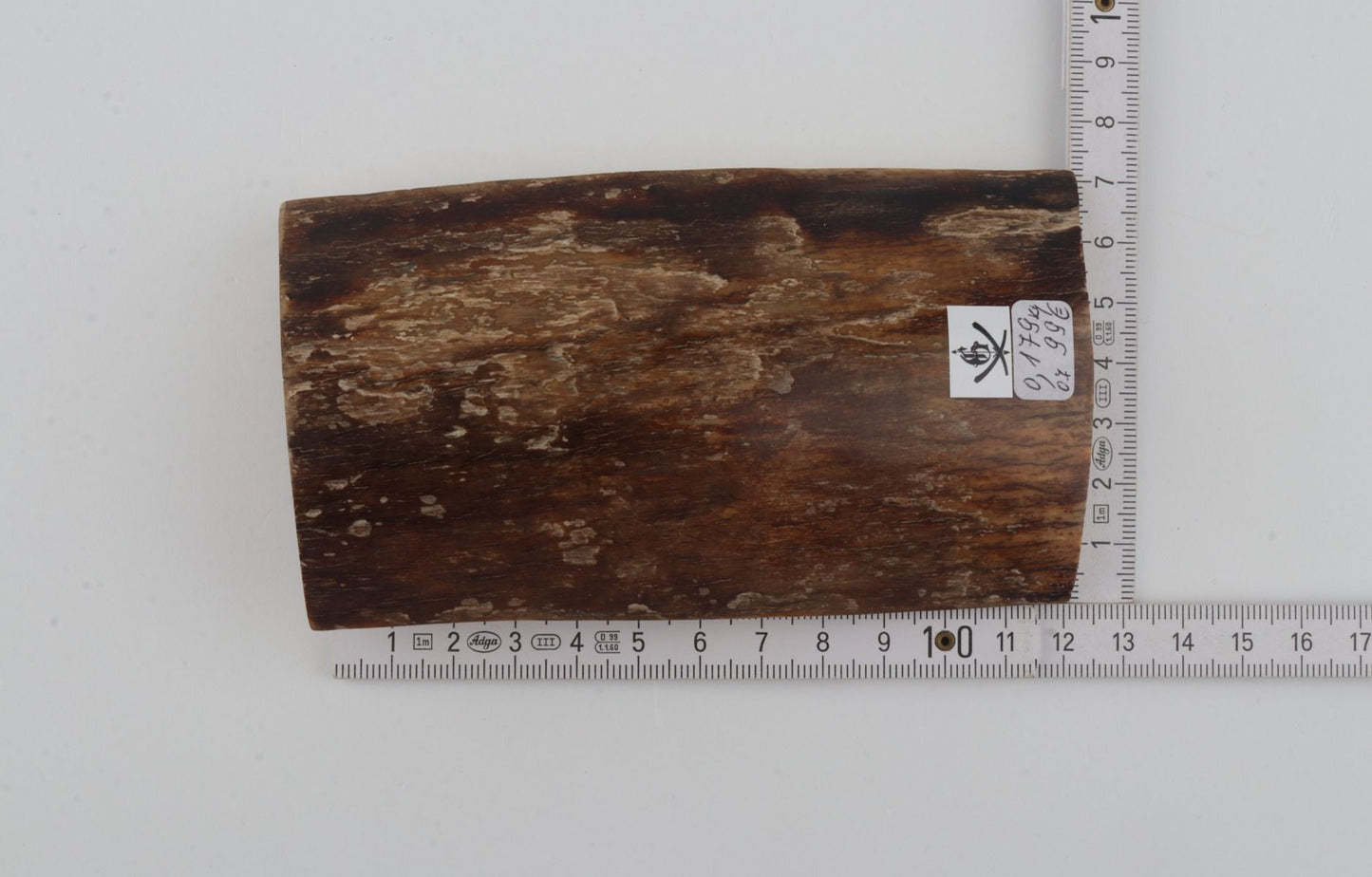 Brown mammoth bark