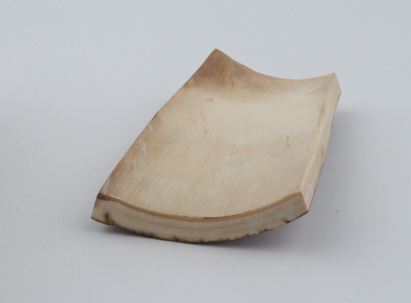 Brown mammoth bark