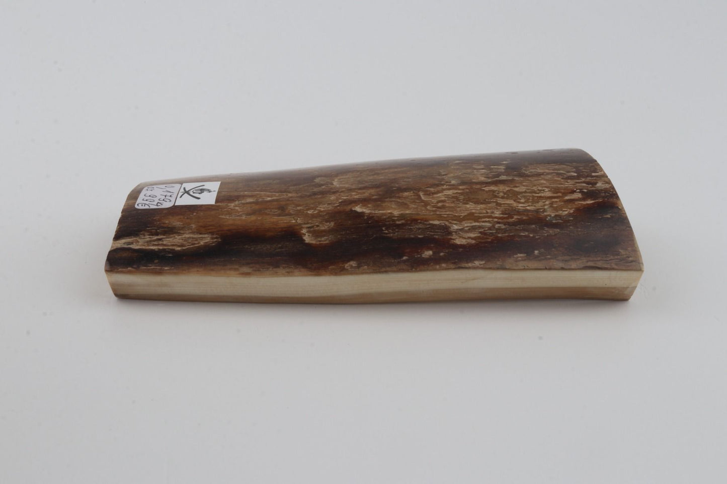 Brown mammoth bark