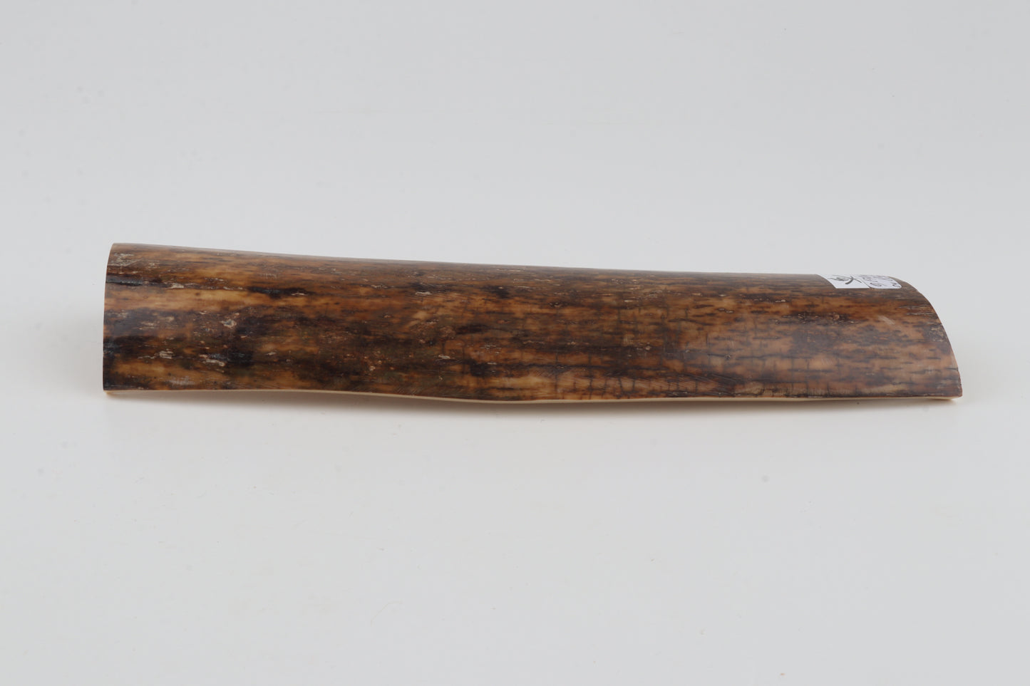 Brown mammoth bark
