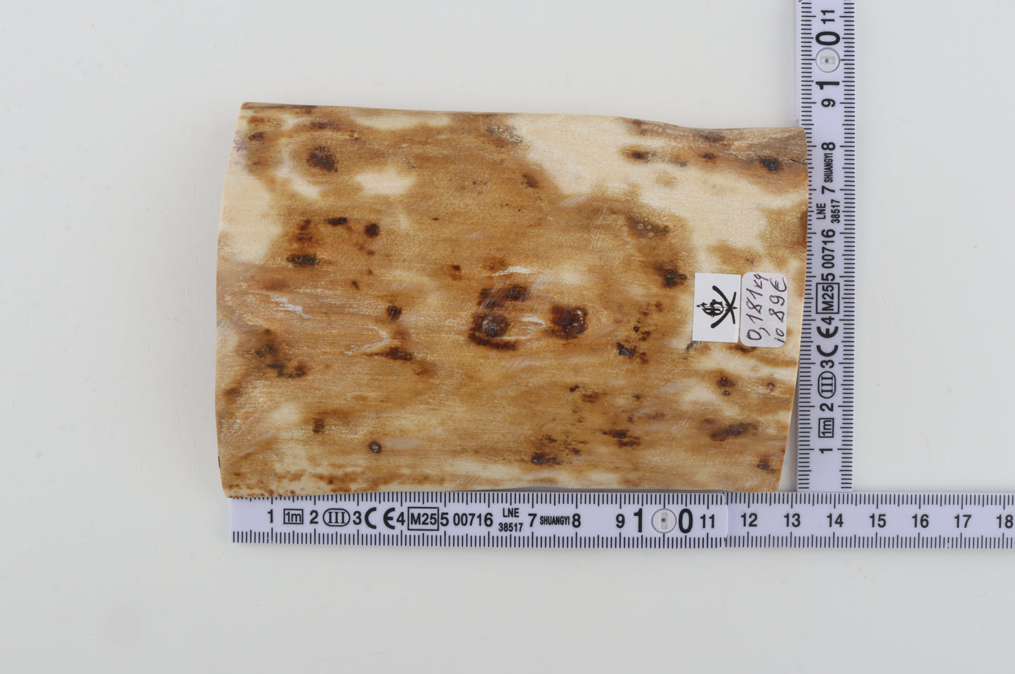 Creme-white mammoth bark