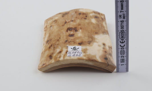 Creme-white mammoth bark