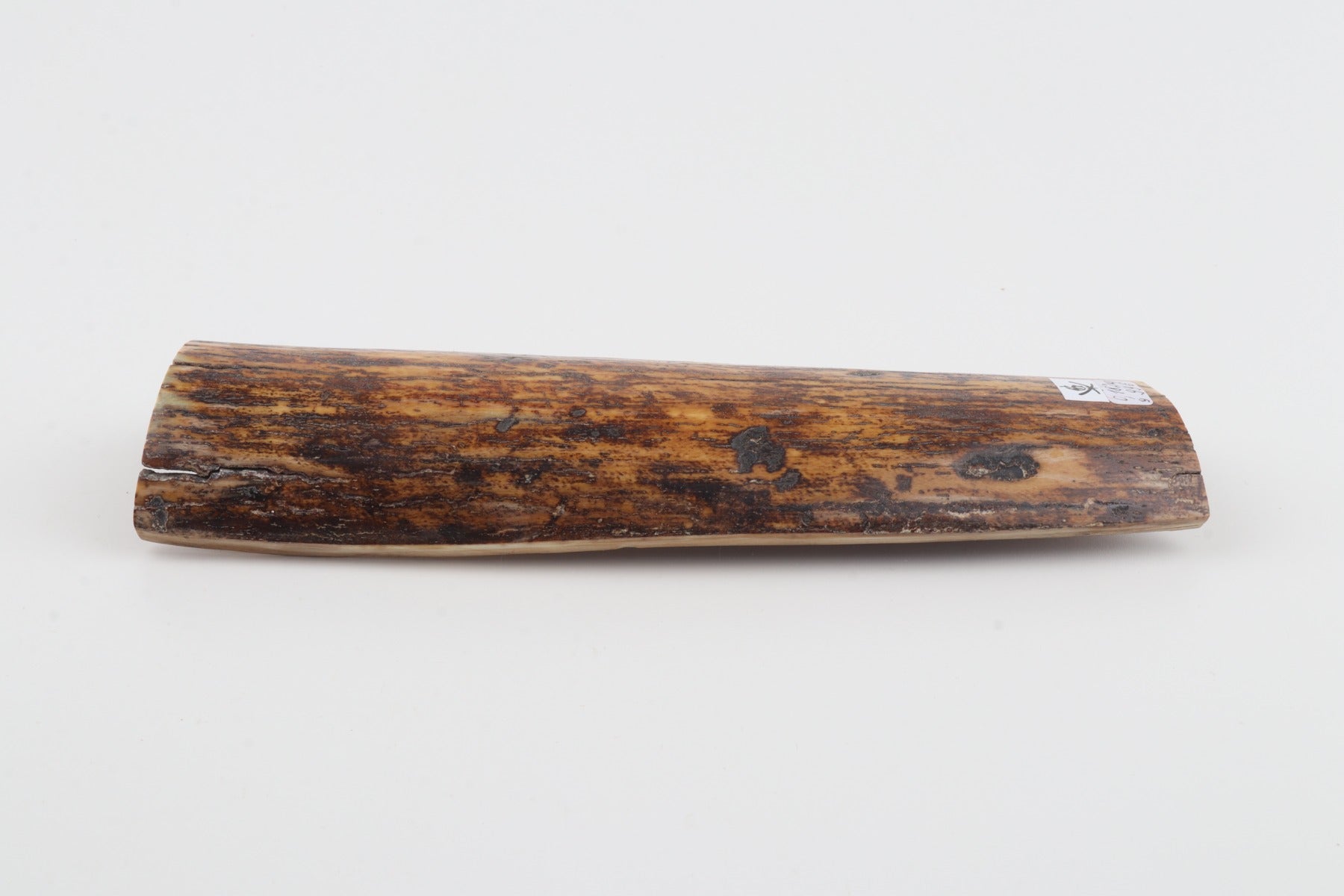 Brown-yellow mammoth bark