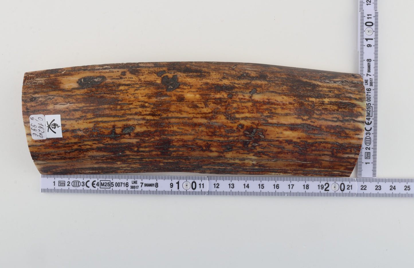 Brown-yellow mammoth bark