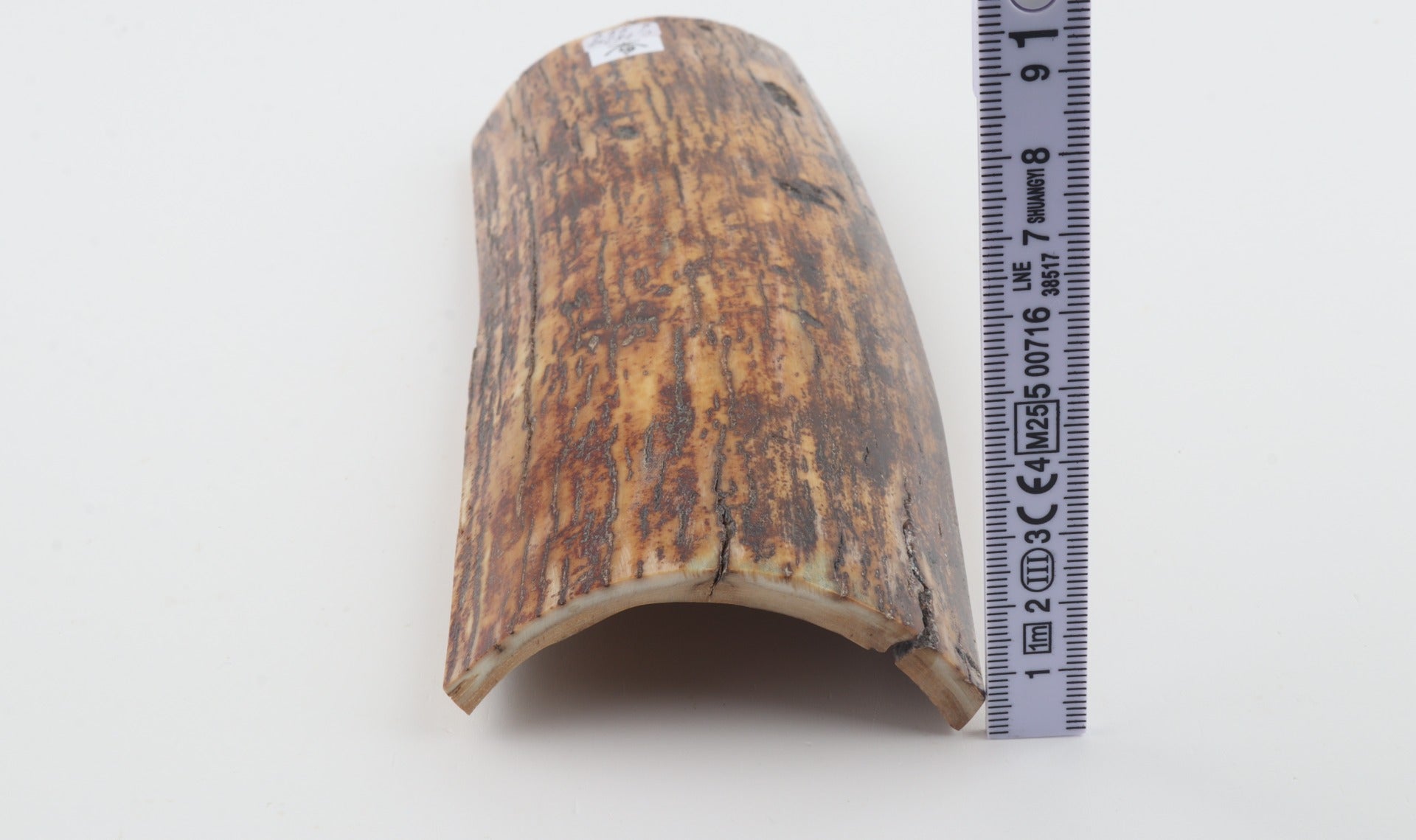 Brown-yellow mammoth bark
