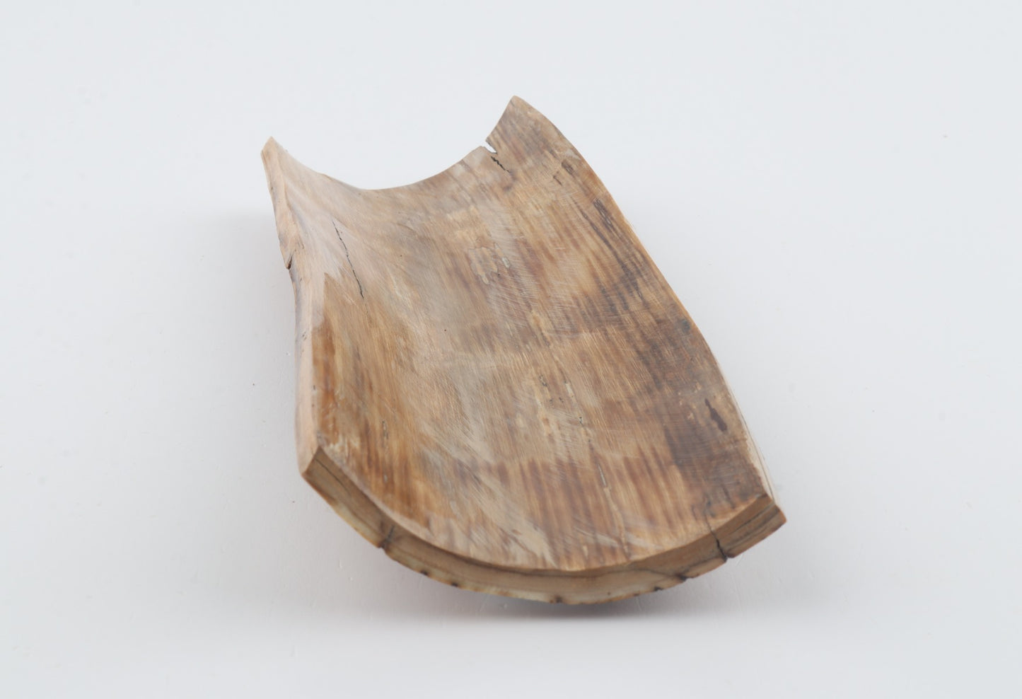 Brown-yellow mammoth bark