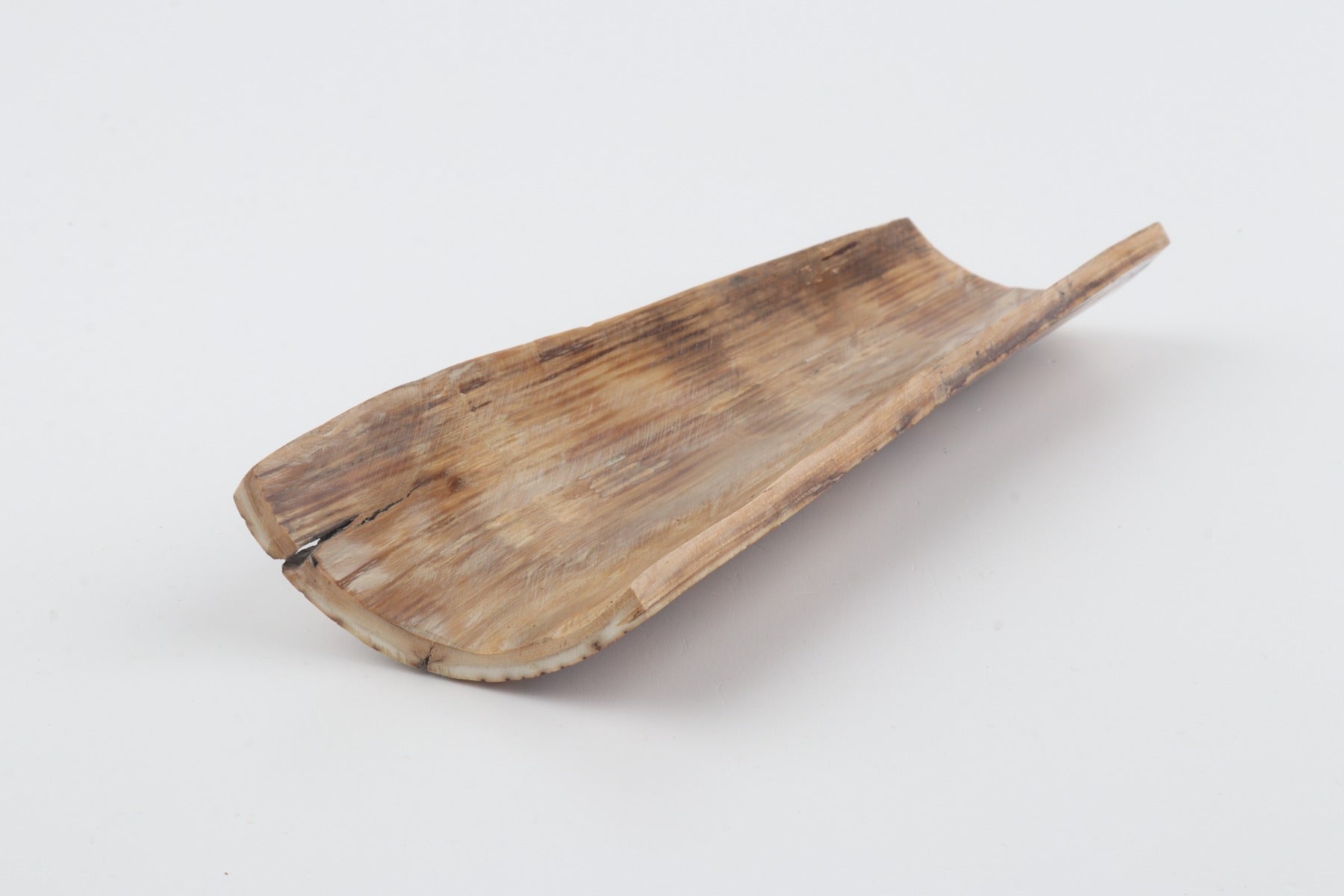 Brown-yellow mammoth bark