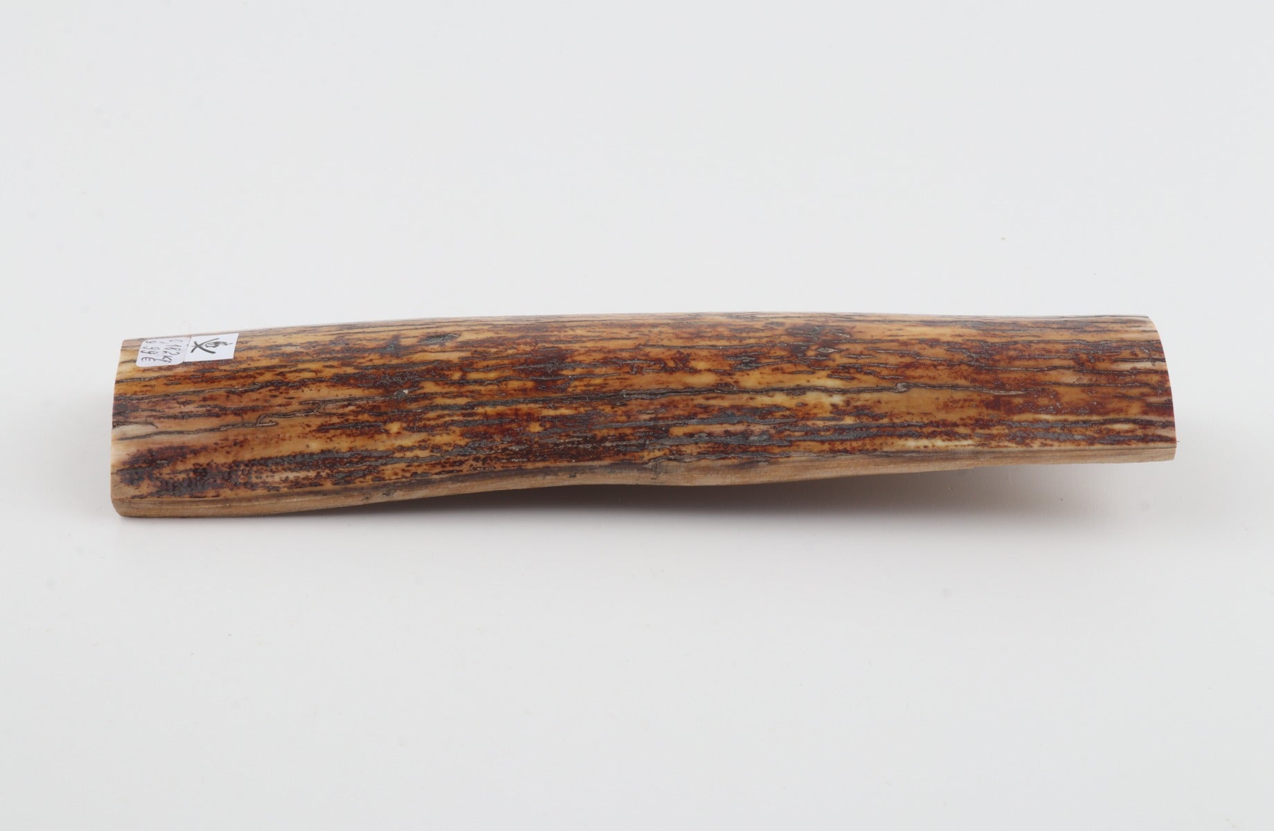 Brown-yellow mammoth bark