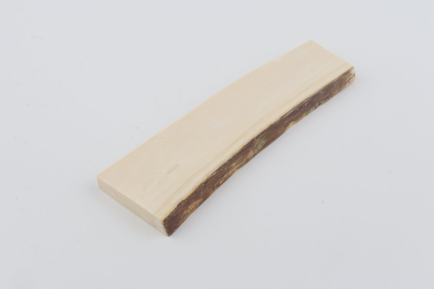 White mammoth ivory segment