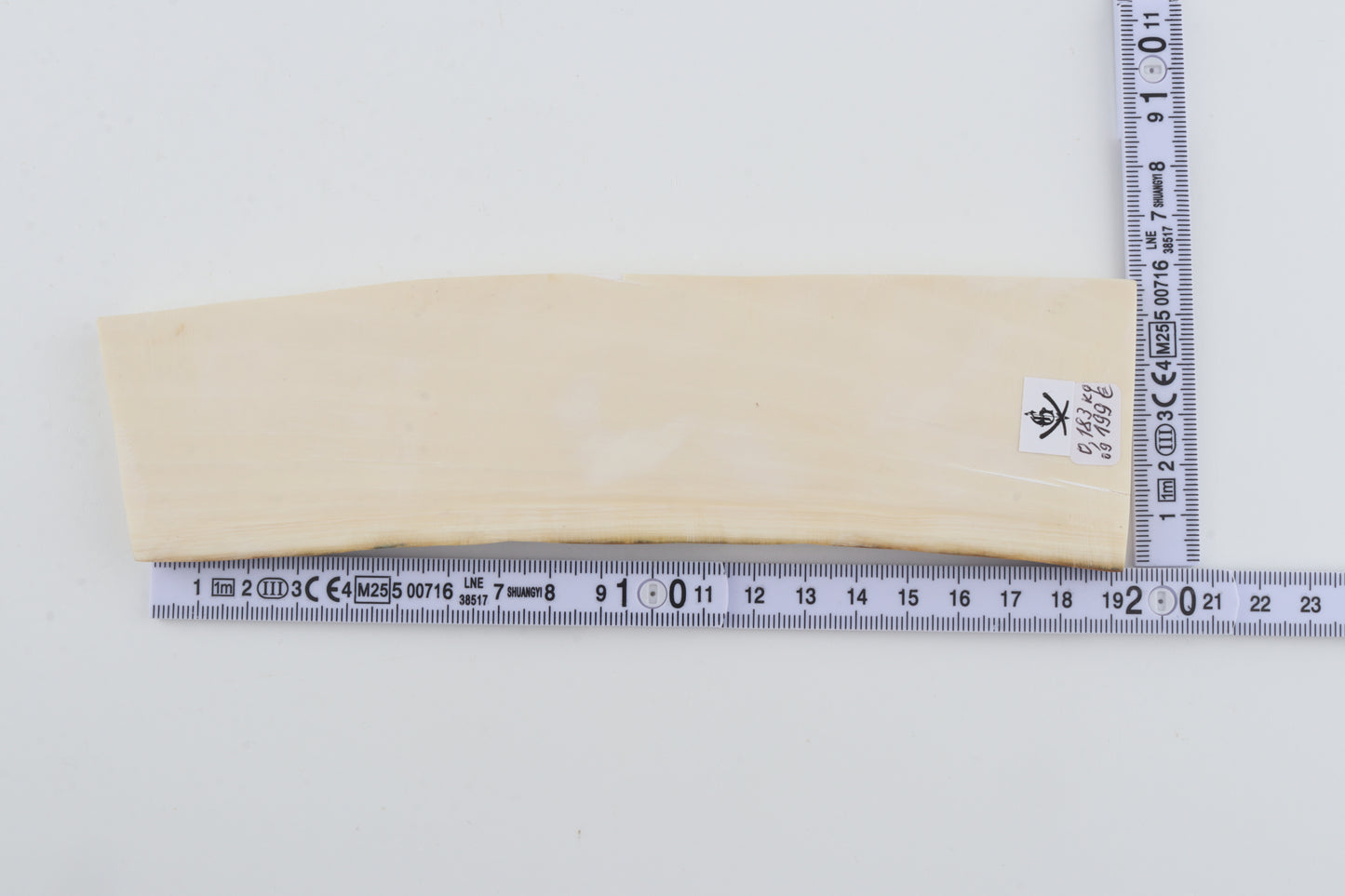 White mammoth ivory segment