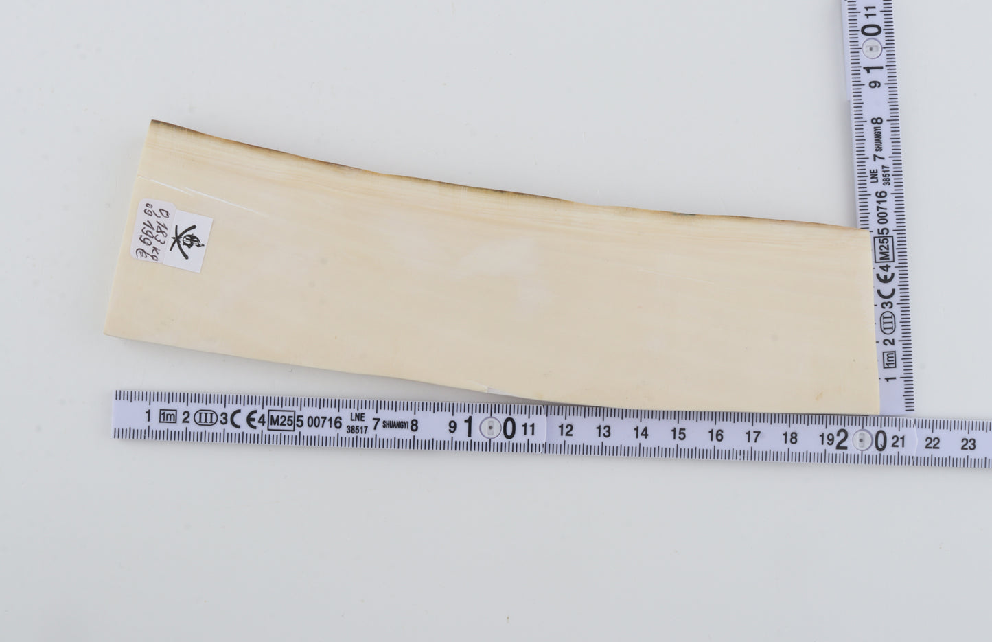 White mammoth ivory segment