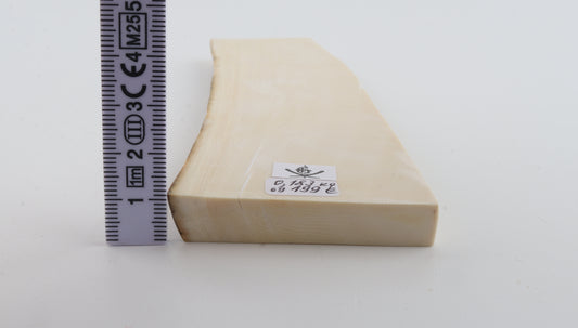 White mammoth ivory segment