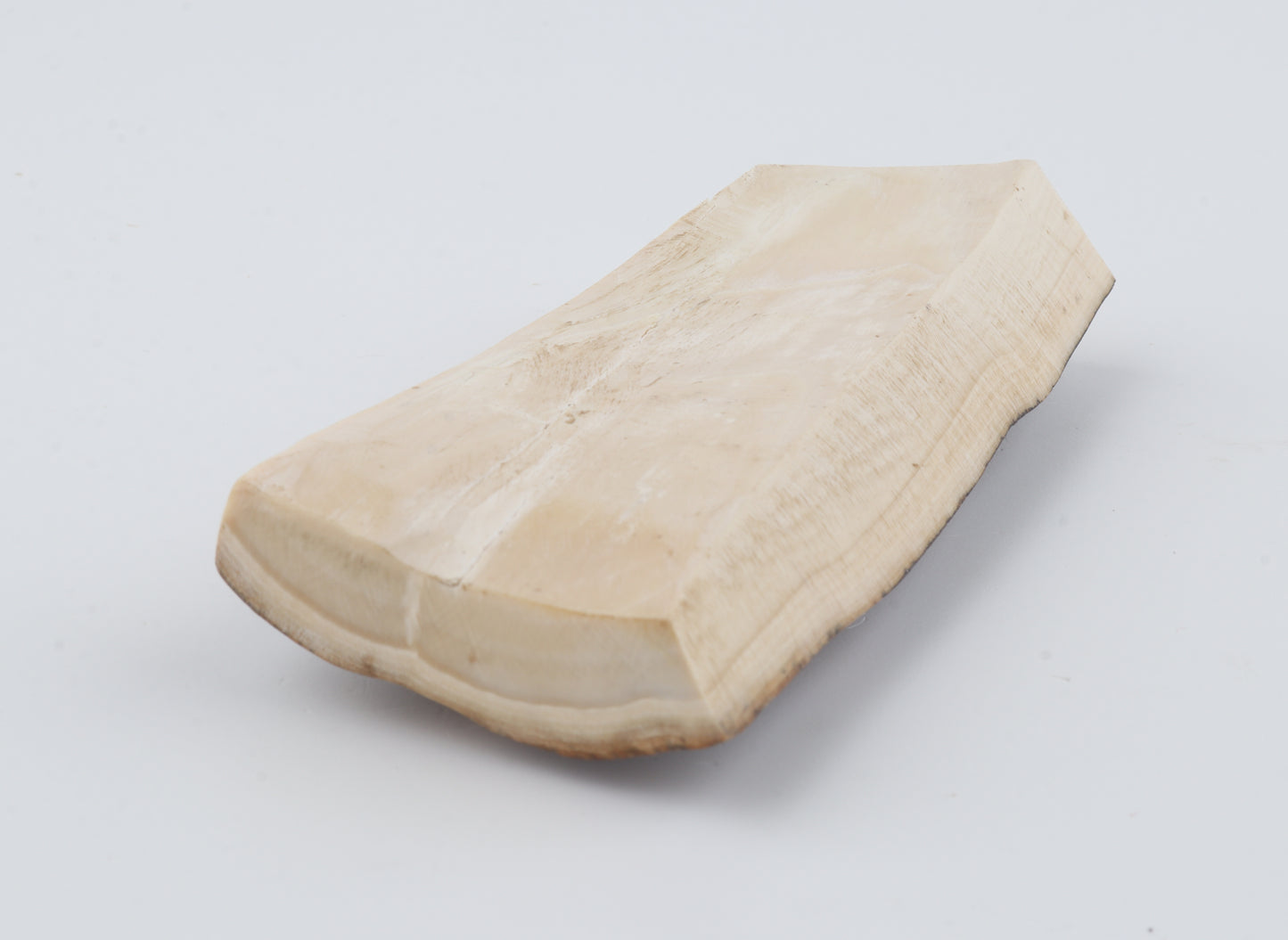 Brown woolly mammoth bark